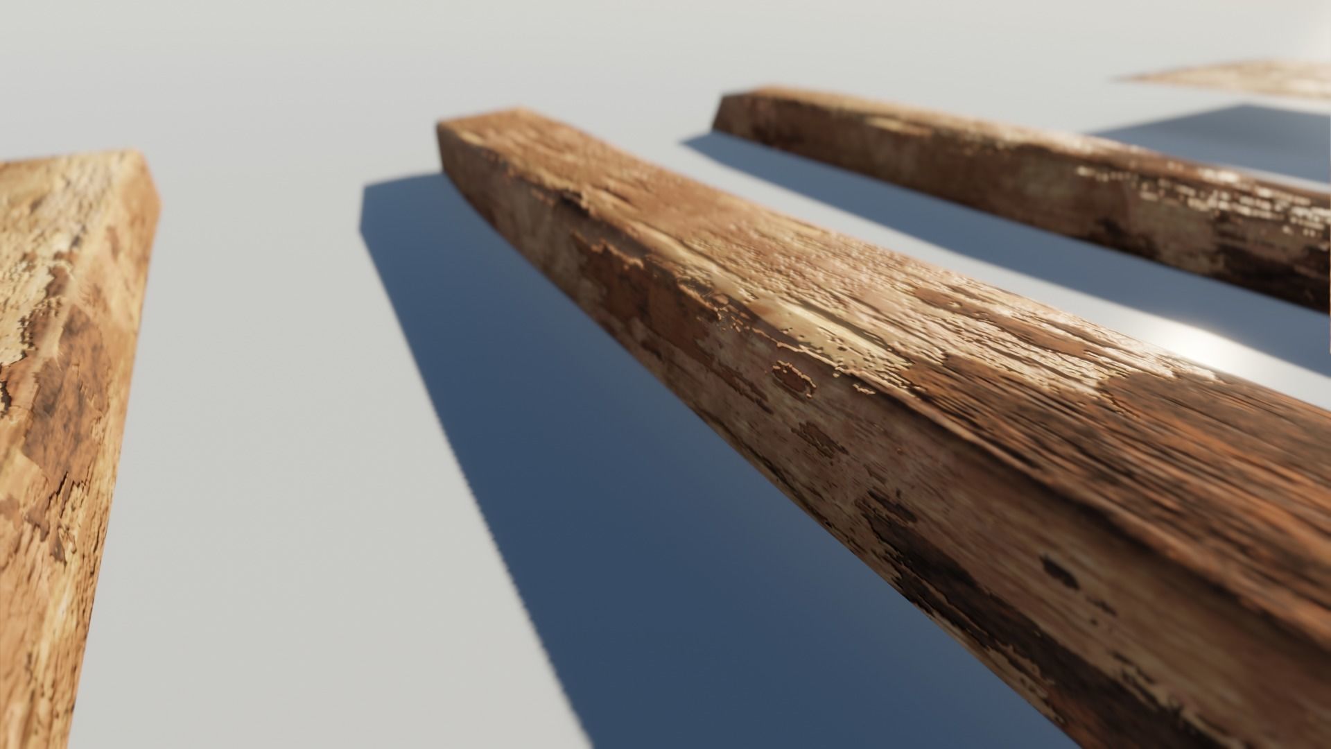 Oak Wood and Bark Texture_2