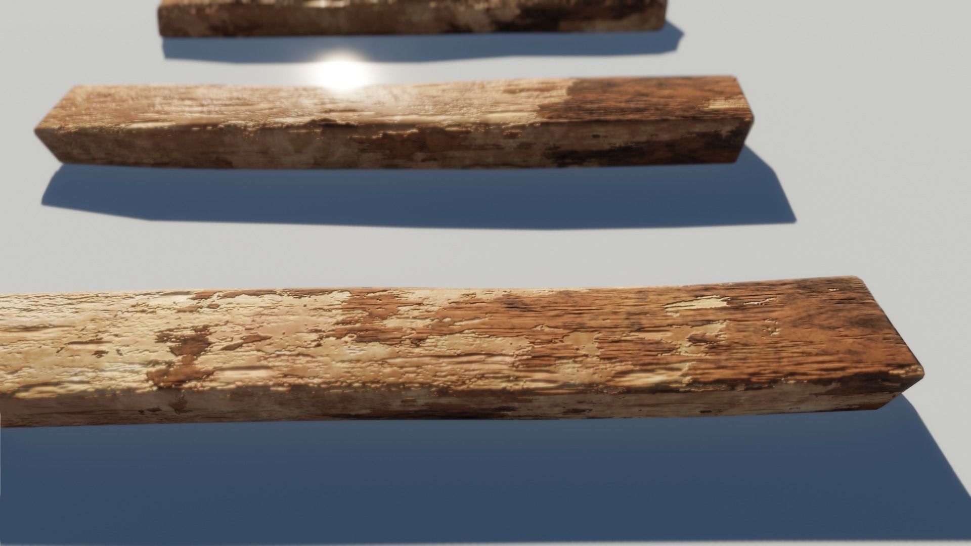 Oak Wood and Bark Texture_3