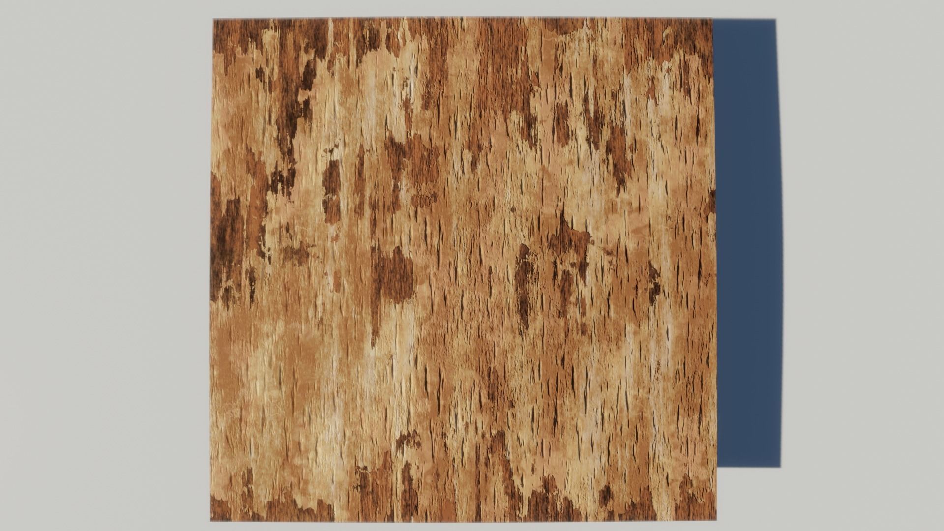 Oak Wood and Bark Texture_7