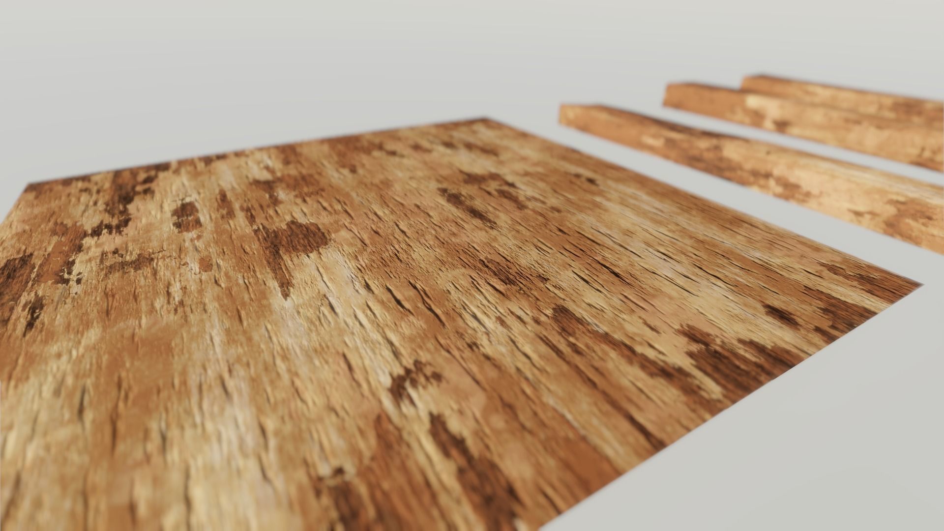 Oak Wood and Bark Texture_10