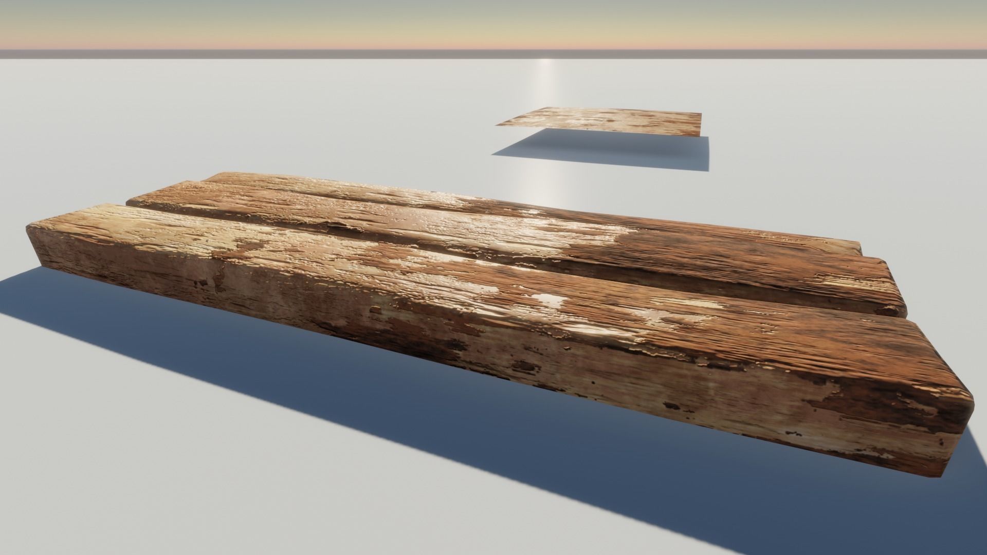 Oak Wood and Bark Texture_6