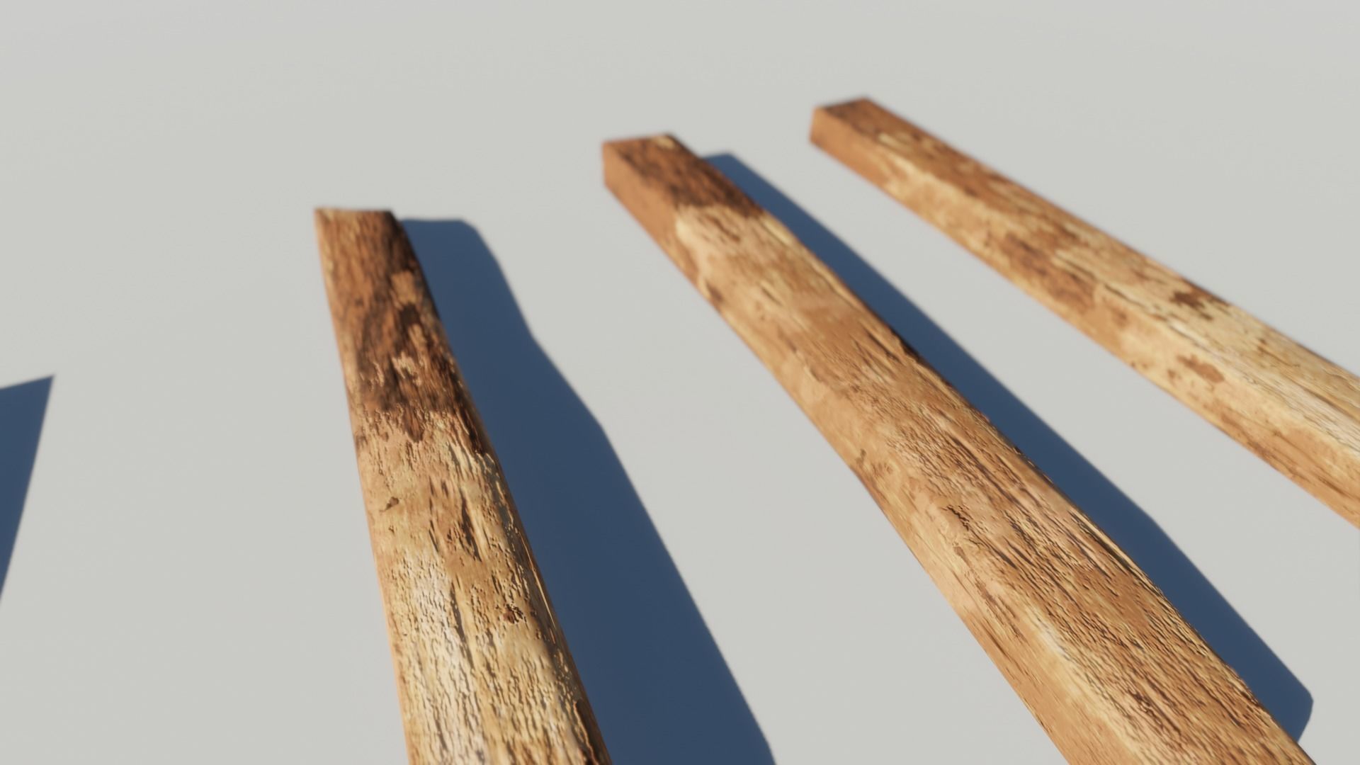 Oak Wood and Bark Texture_4