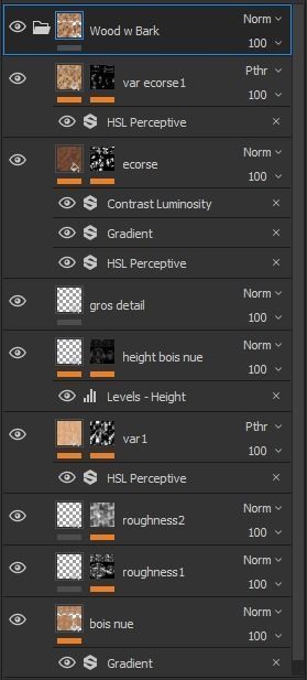 Oak Wood and Bark Texture_12