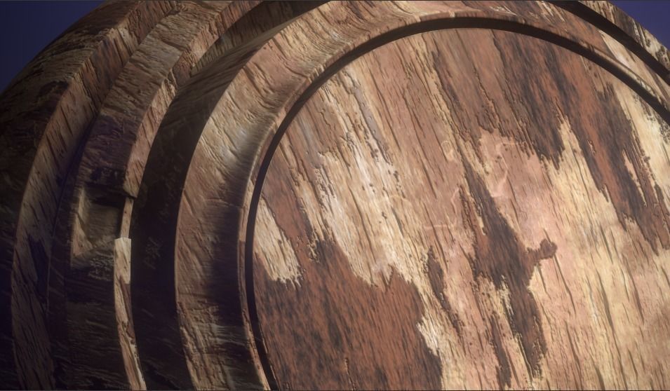 Oak Wood and Bark Texture_1