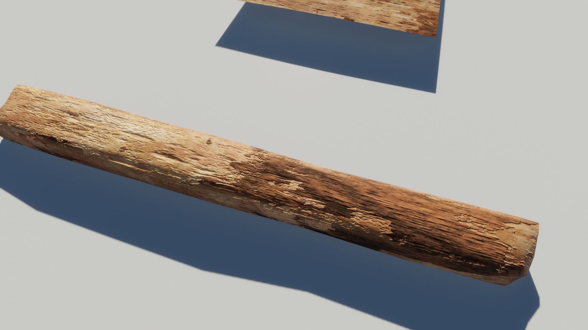 Oak Wood and Bark Texture_9