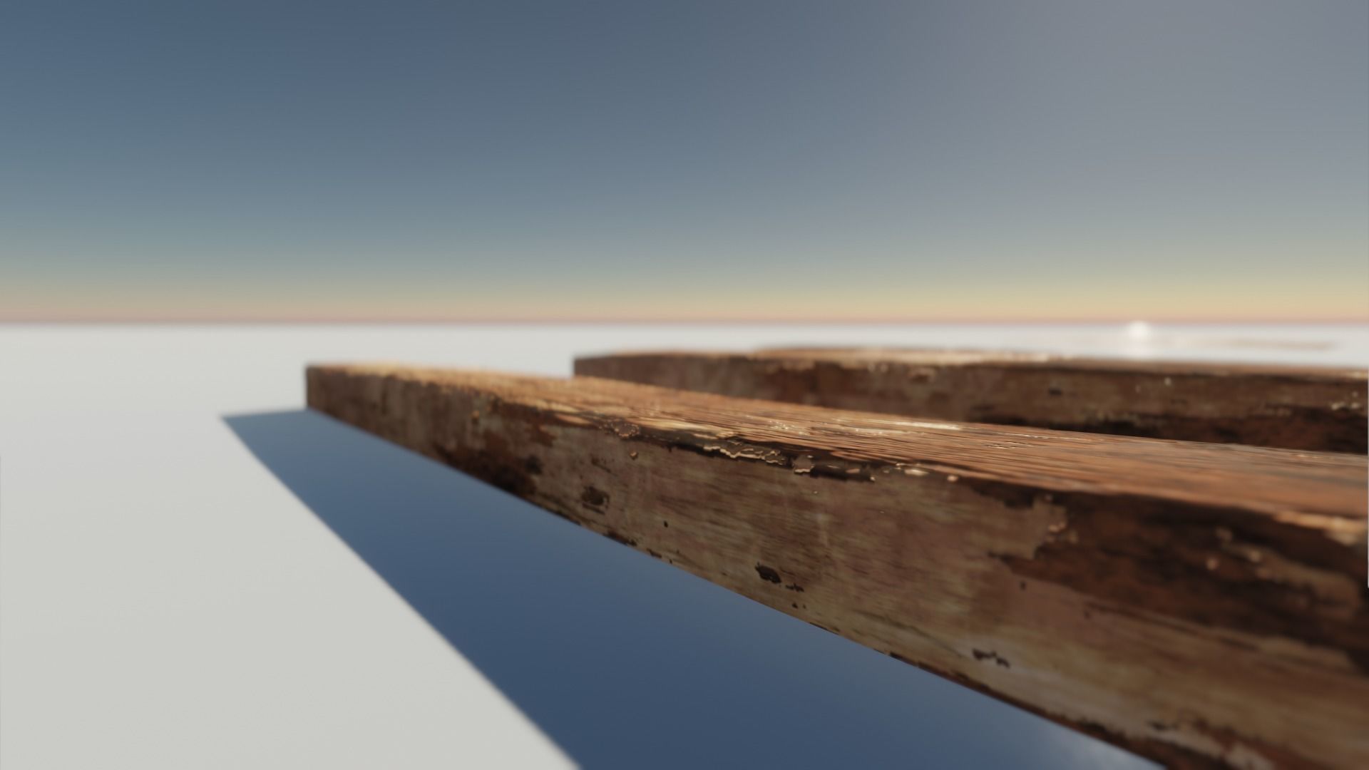 Oak Wood and Bark Texture_5