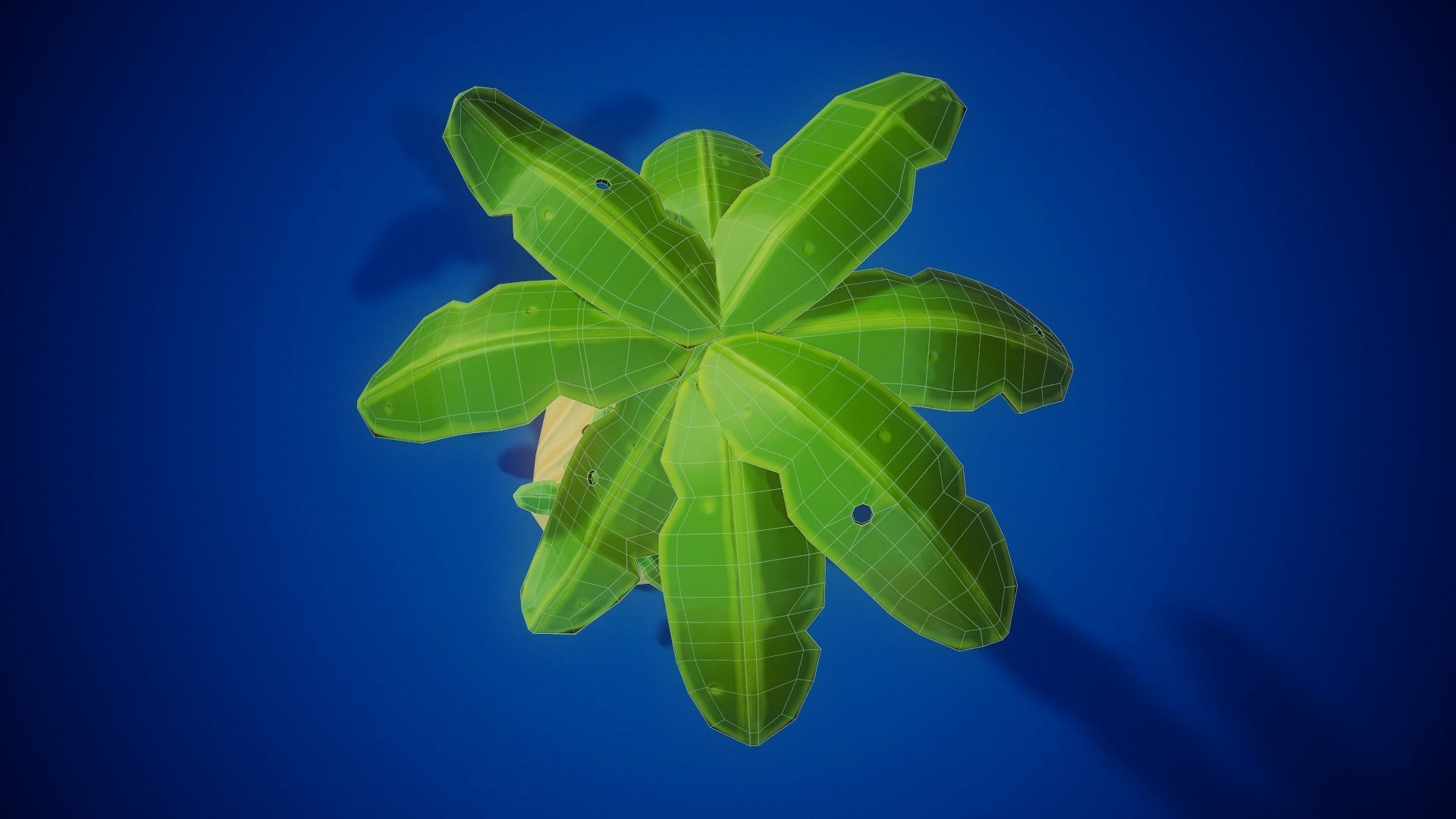 Stylized Coconut - Tutorial Included Low-poly 3D model_7