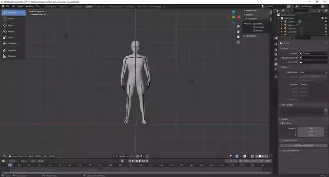  low poly character  rigged
