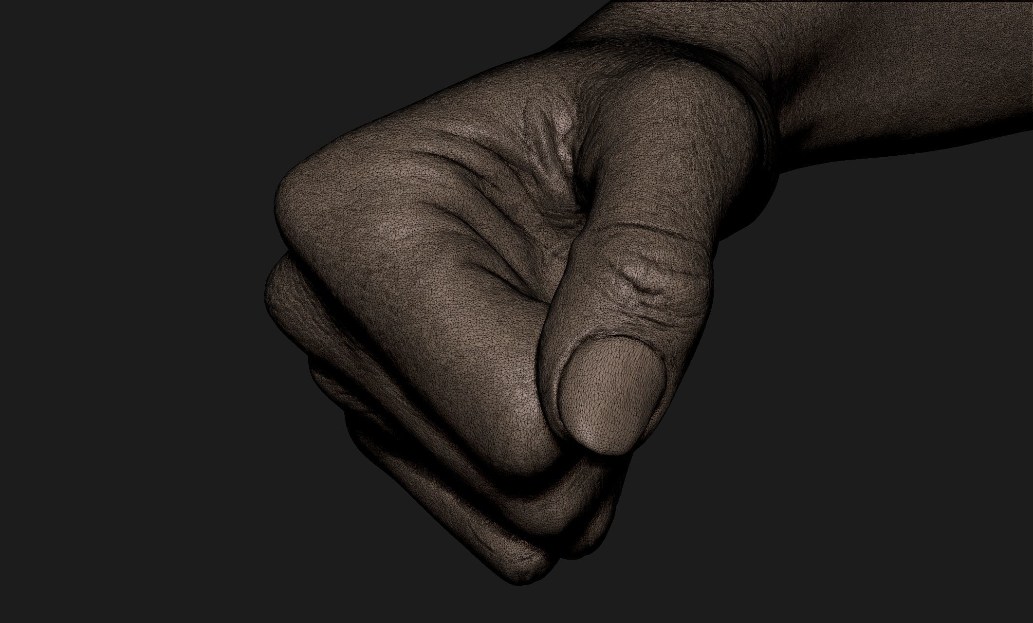 Realistic Female Hand Sculpt 1 3D model_7