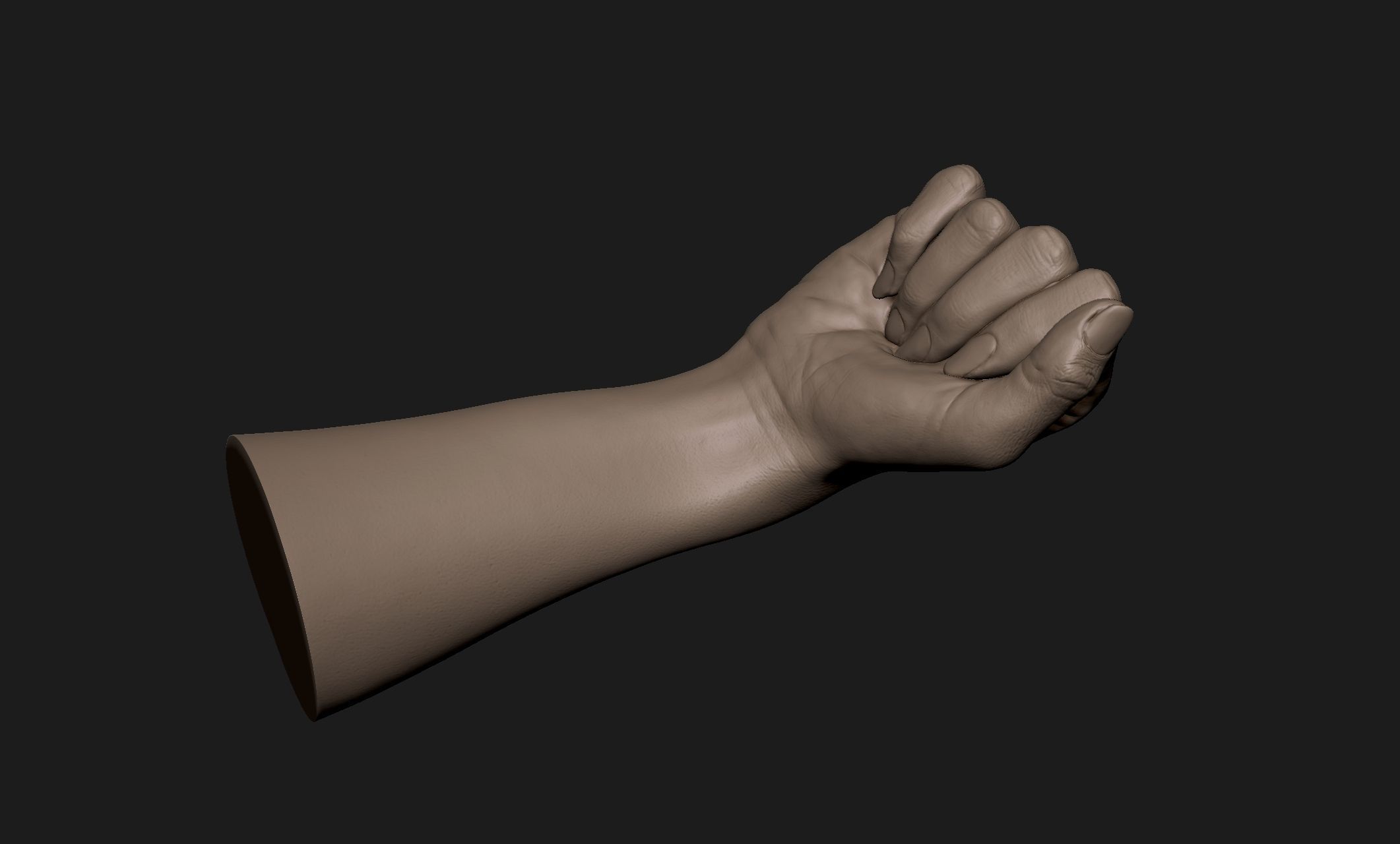 Realistic Female Hand Sculpt 1 3D model_1