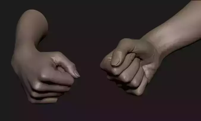 Realistic Female Hand Sculpt 1 3D model