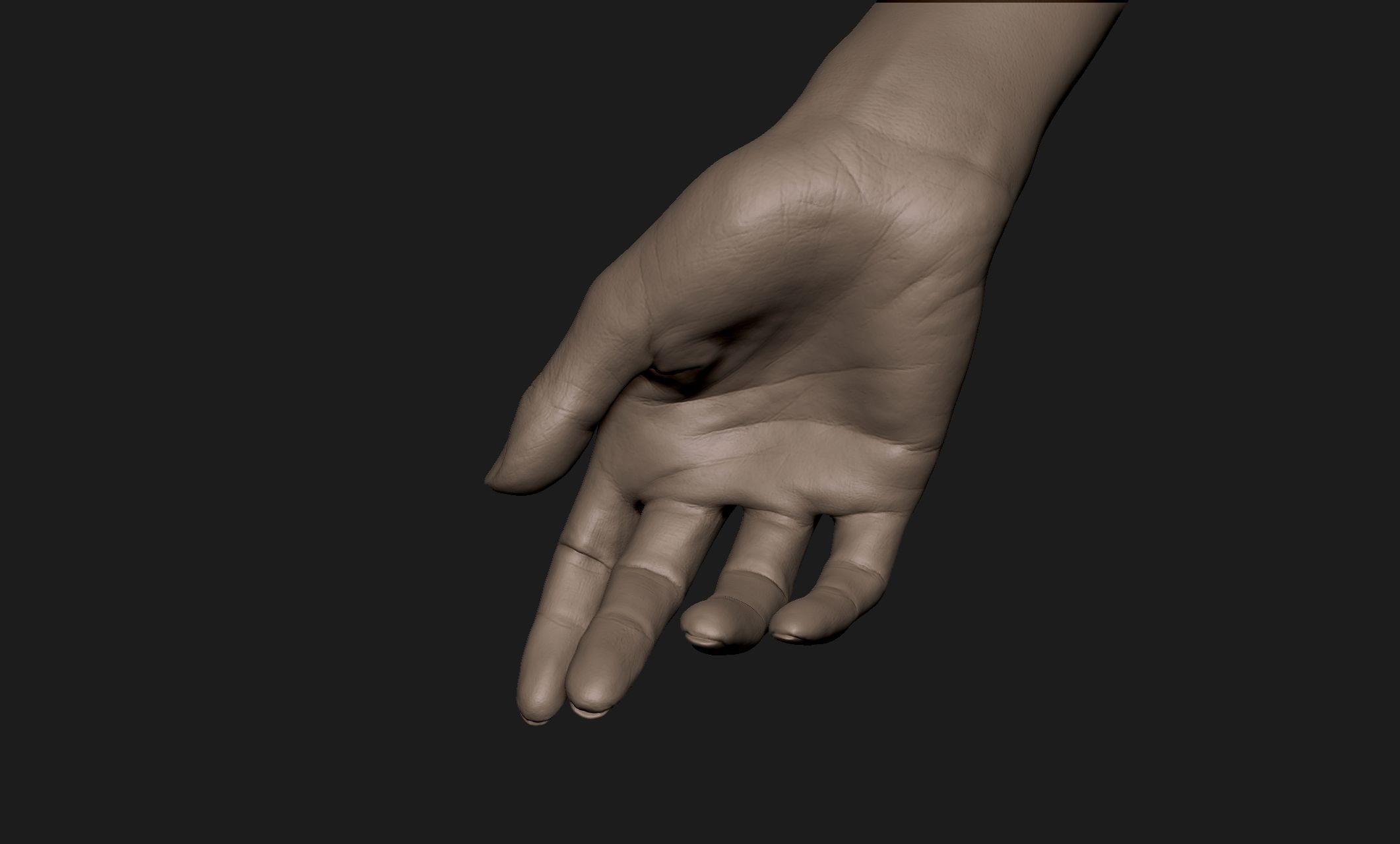 Realistic Female Hand Sculpt 2 3D model_5