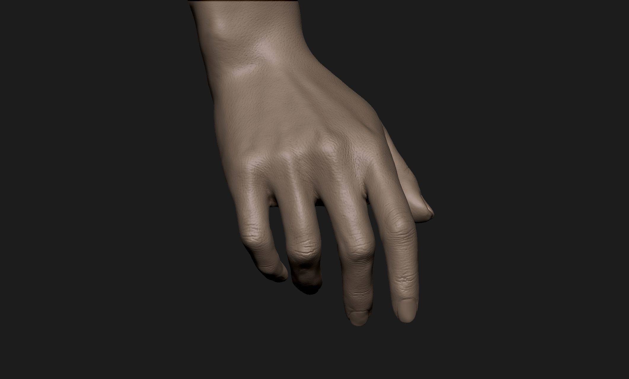 Realistic Female Hand Sculpt 2 3D model_3