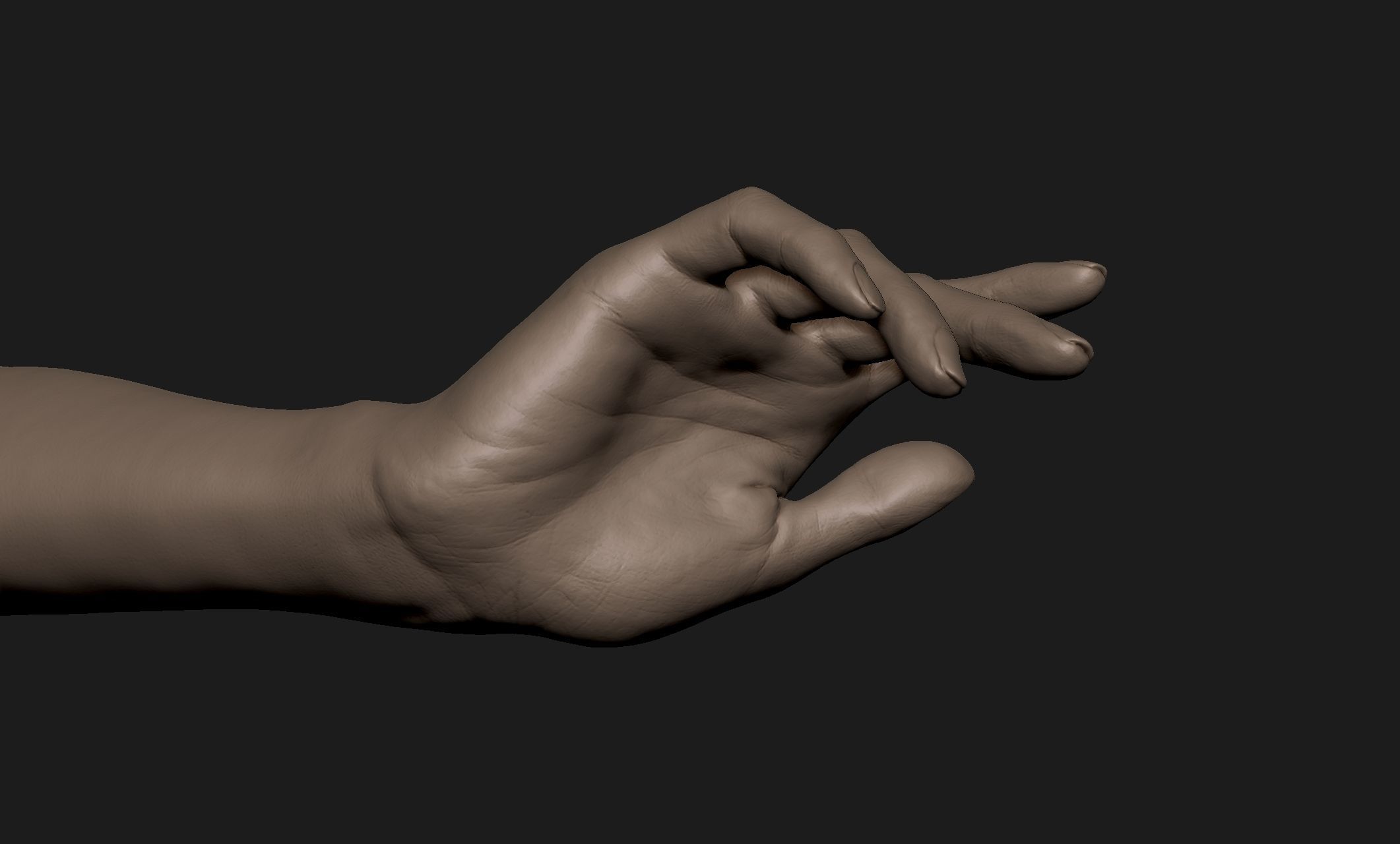 Realistic Female Hand Sculpt 2 3D model_4