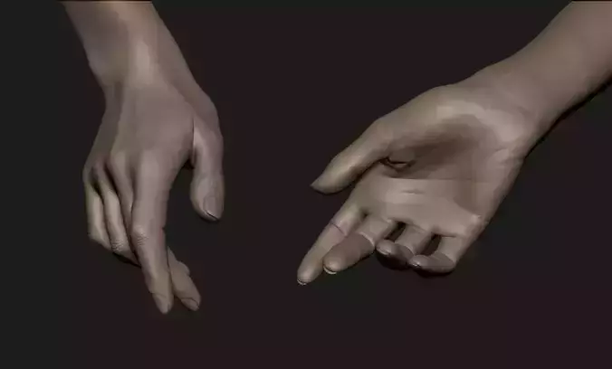 Realistic Female Hand Sculpt 2 3D model