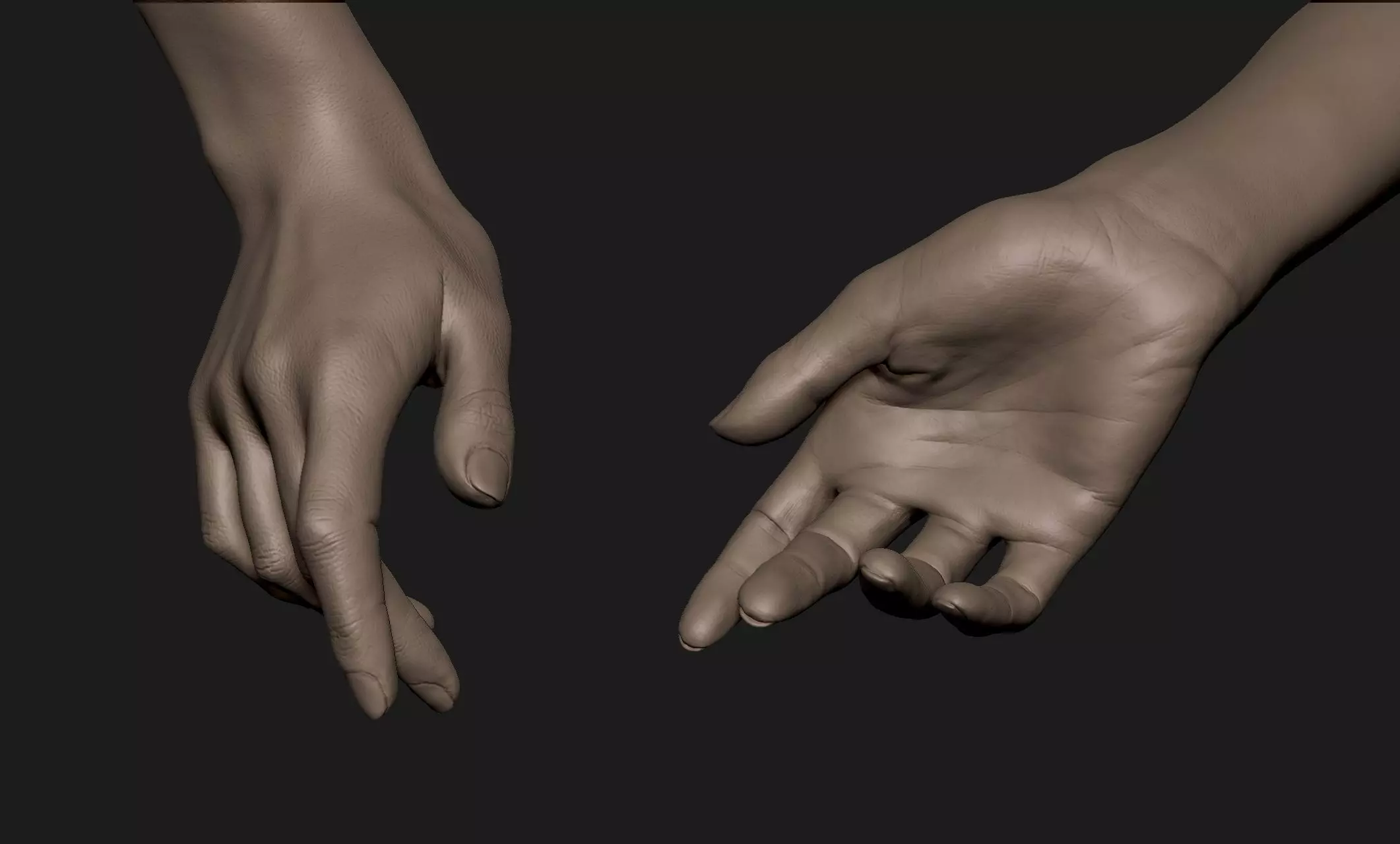 Realistic Female Hand Sculpt 2 3D model_0