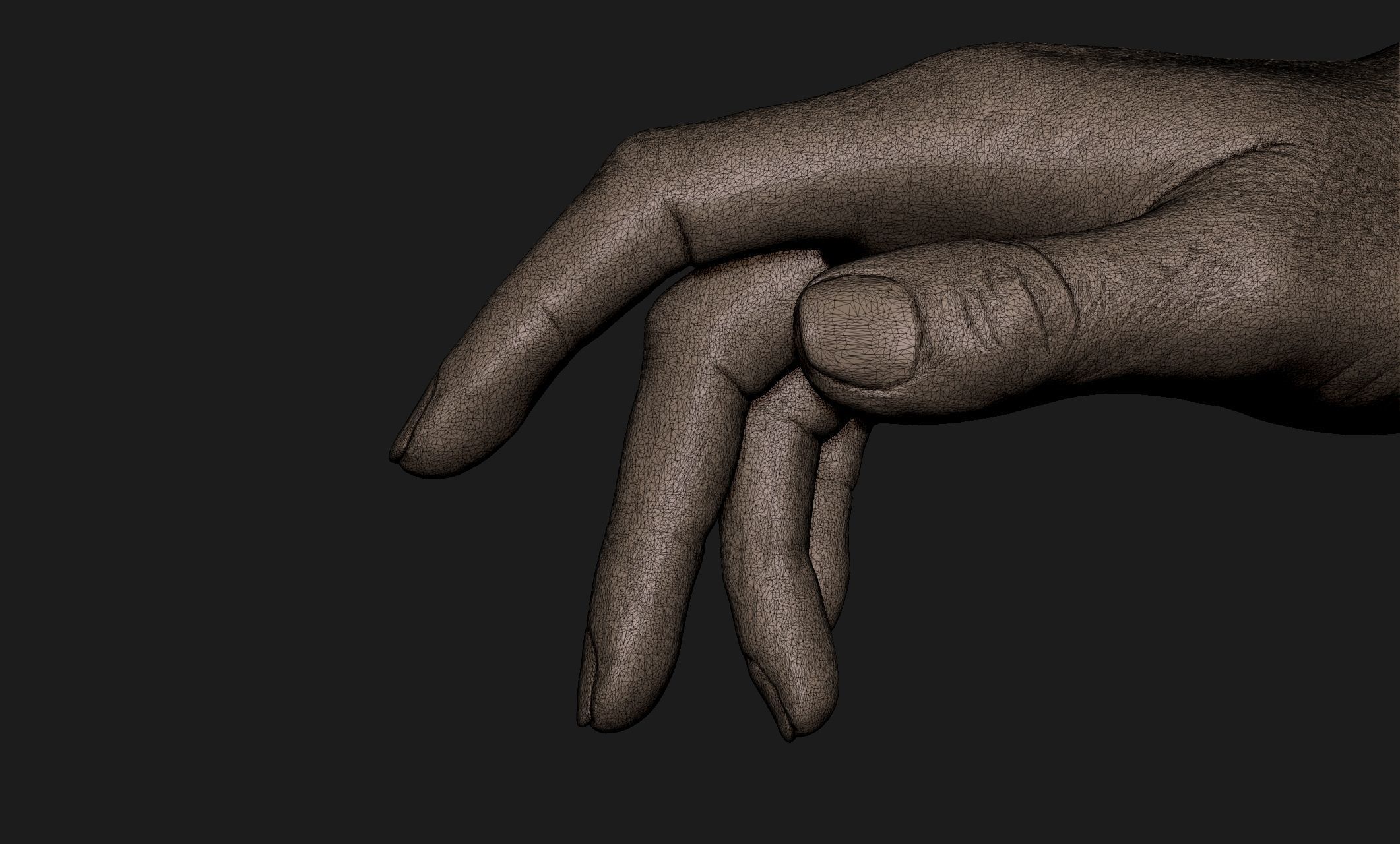 Realistic Female Hand Sculpt 2 3D model_7