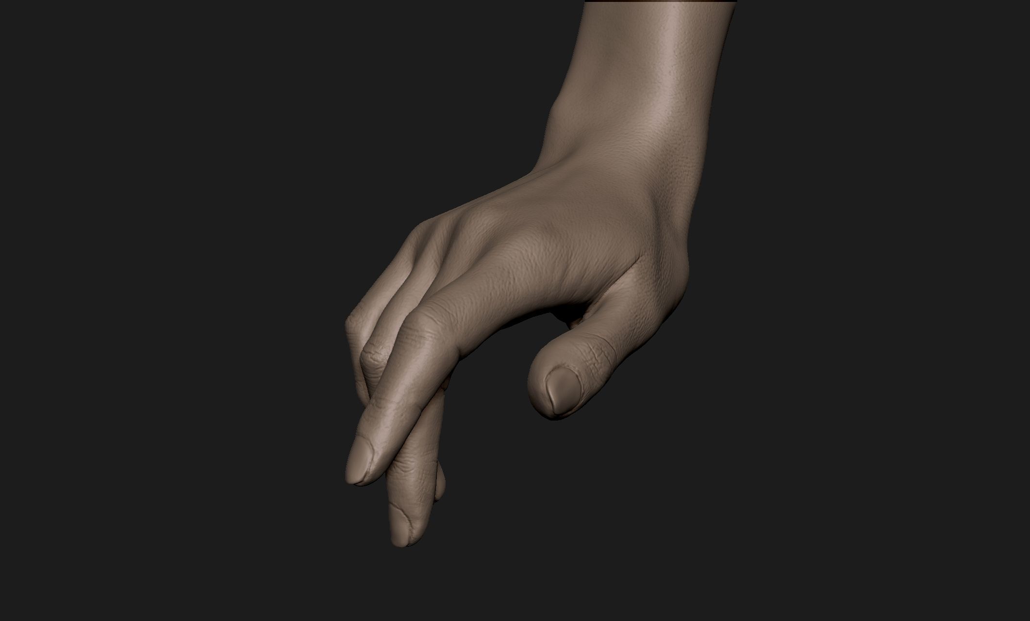 Realistic Female Hand Sculpt 2 3D model_1
