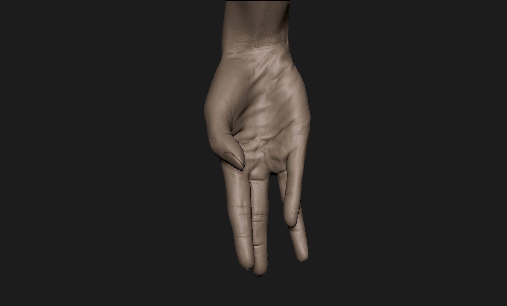 Realistic Female Hand Sculpt 3 3D model_6