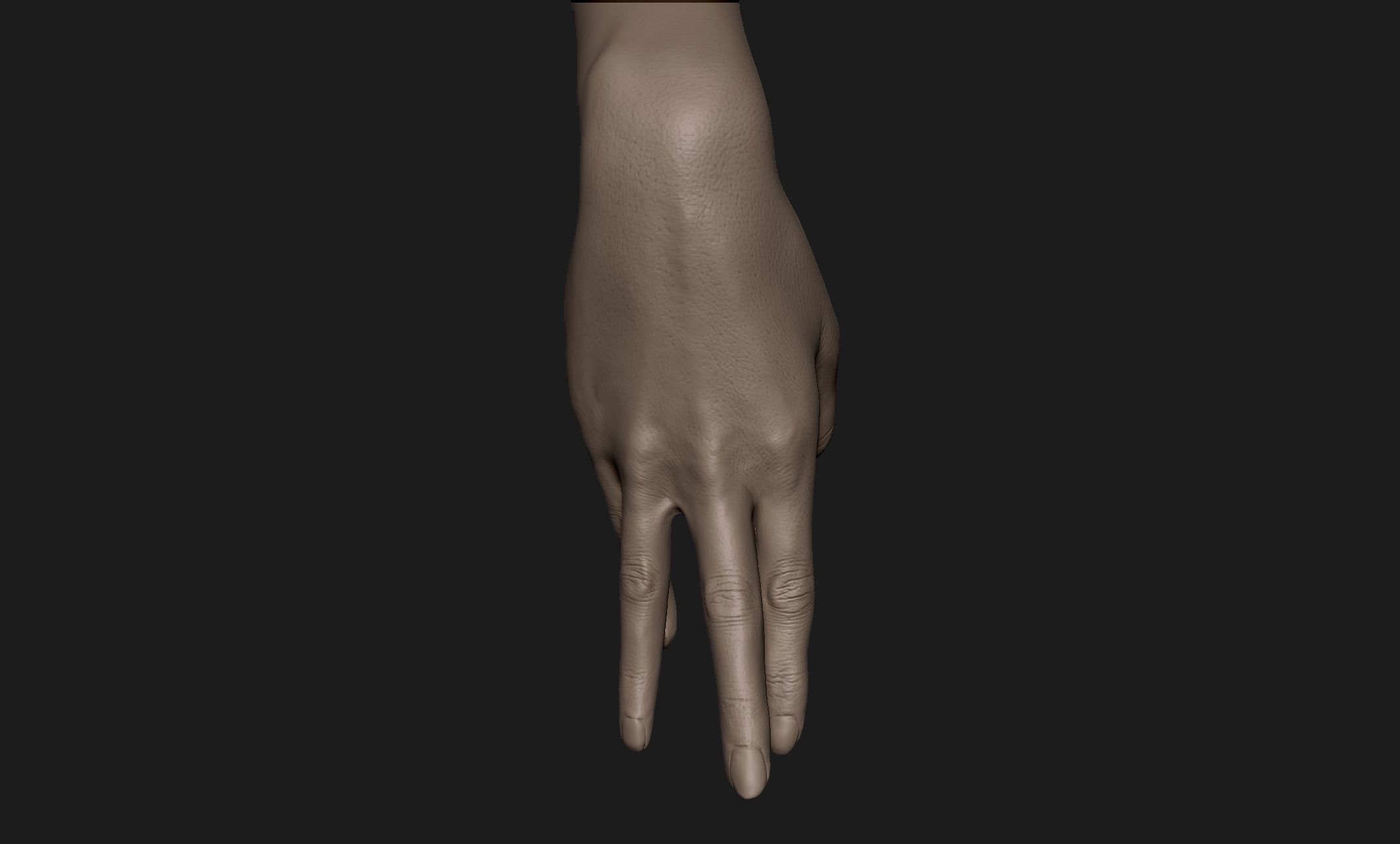 Realistic Female Hand Sculpt 3 3D model_4