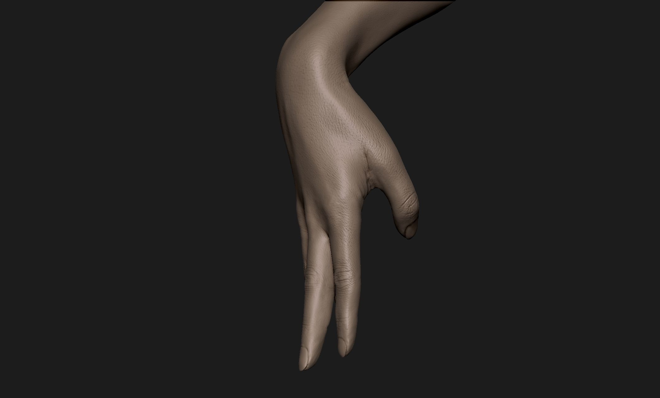 Realistic Female Hand Sculpt 3 3D model_5