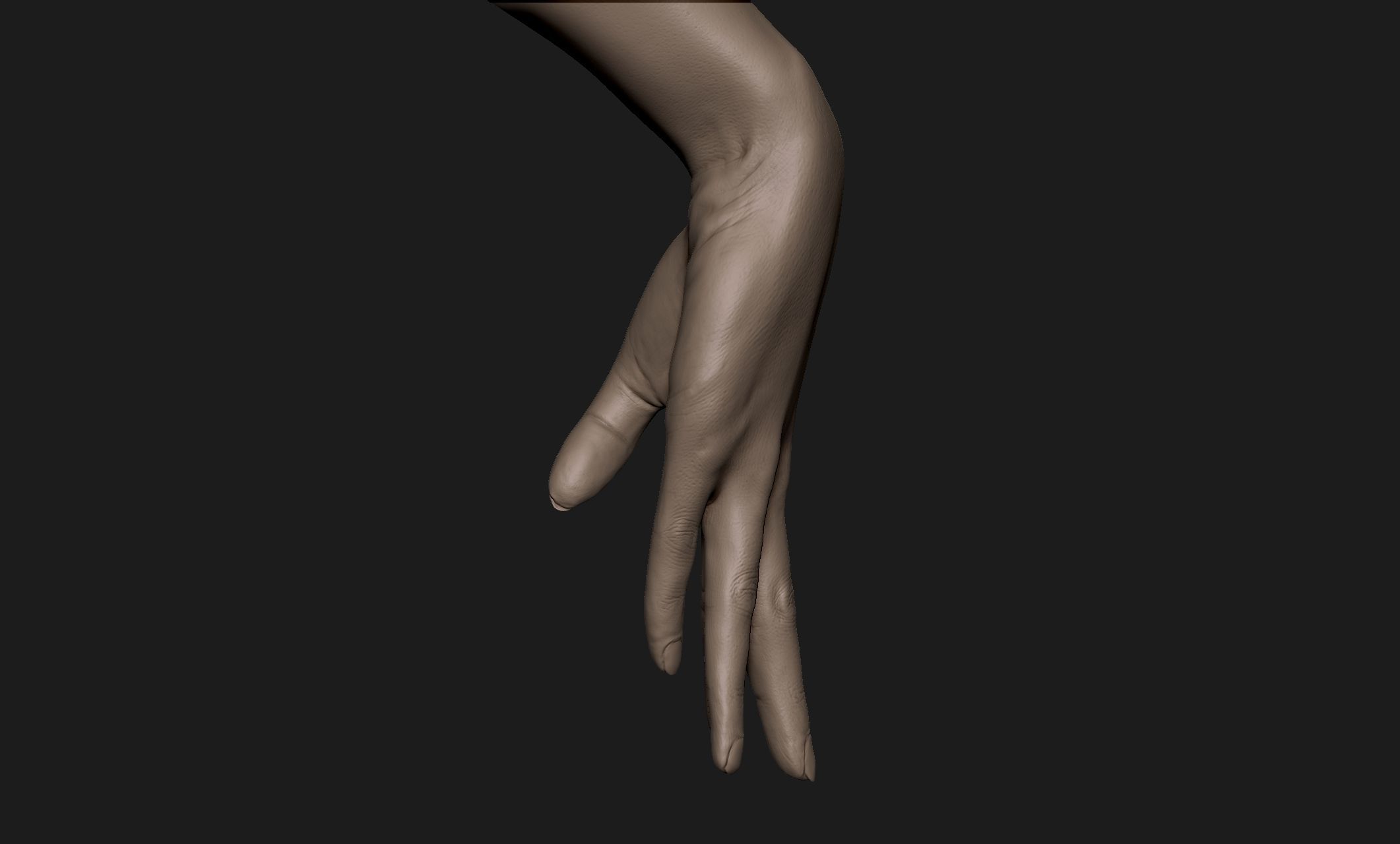 Realistic Female Hand Sculpt 3 3D model_2