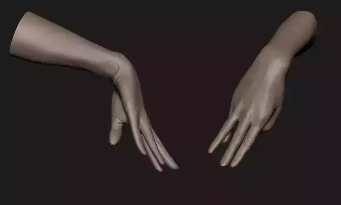 Realistic Female Hand Sculpt 3 3D model