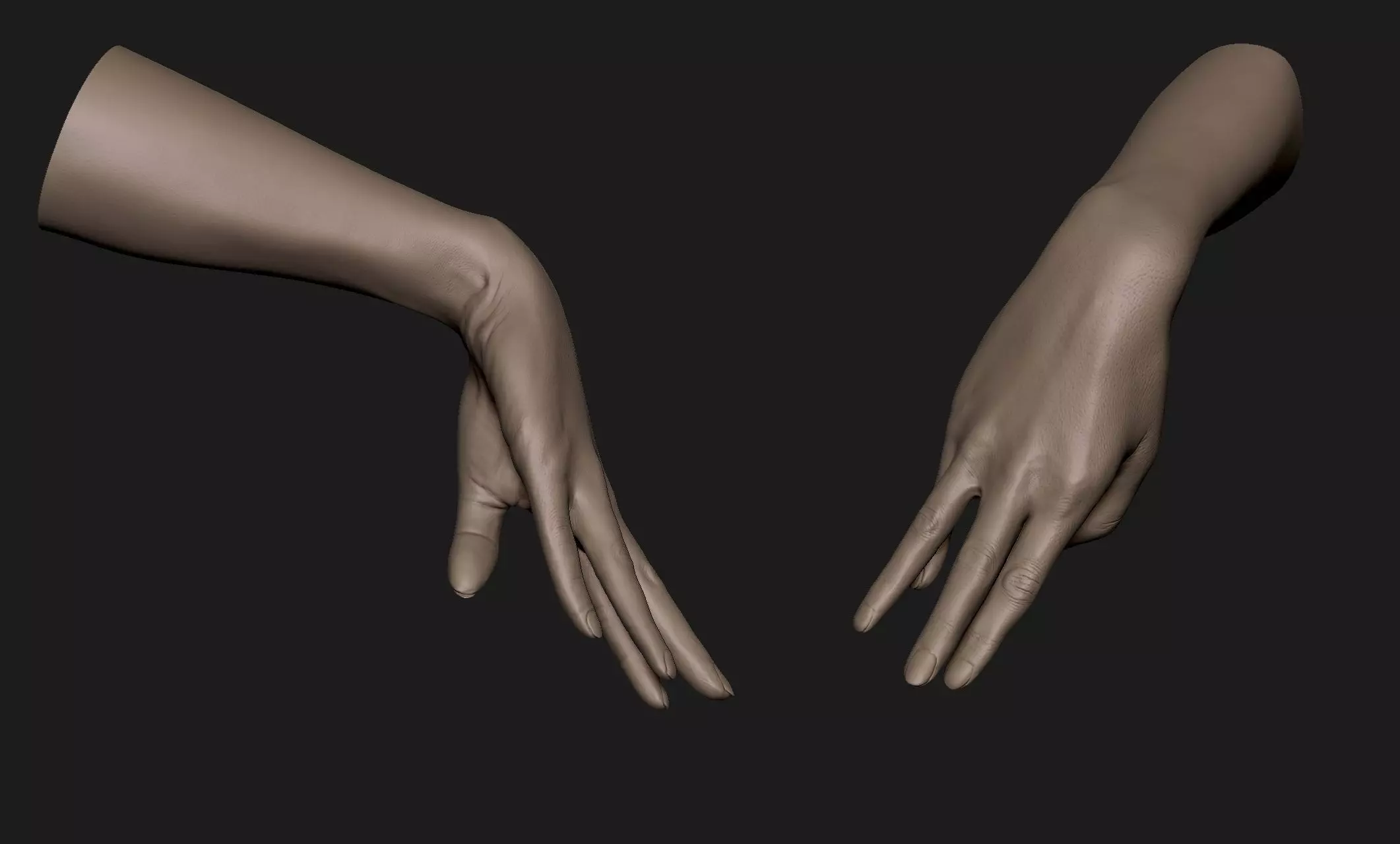 Realistic Female Hand Sculpt 3 3D model_0