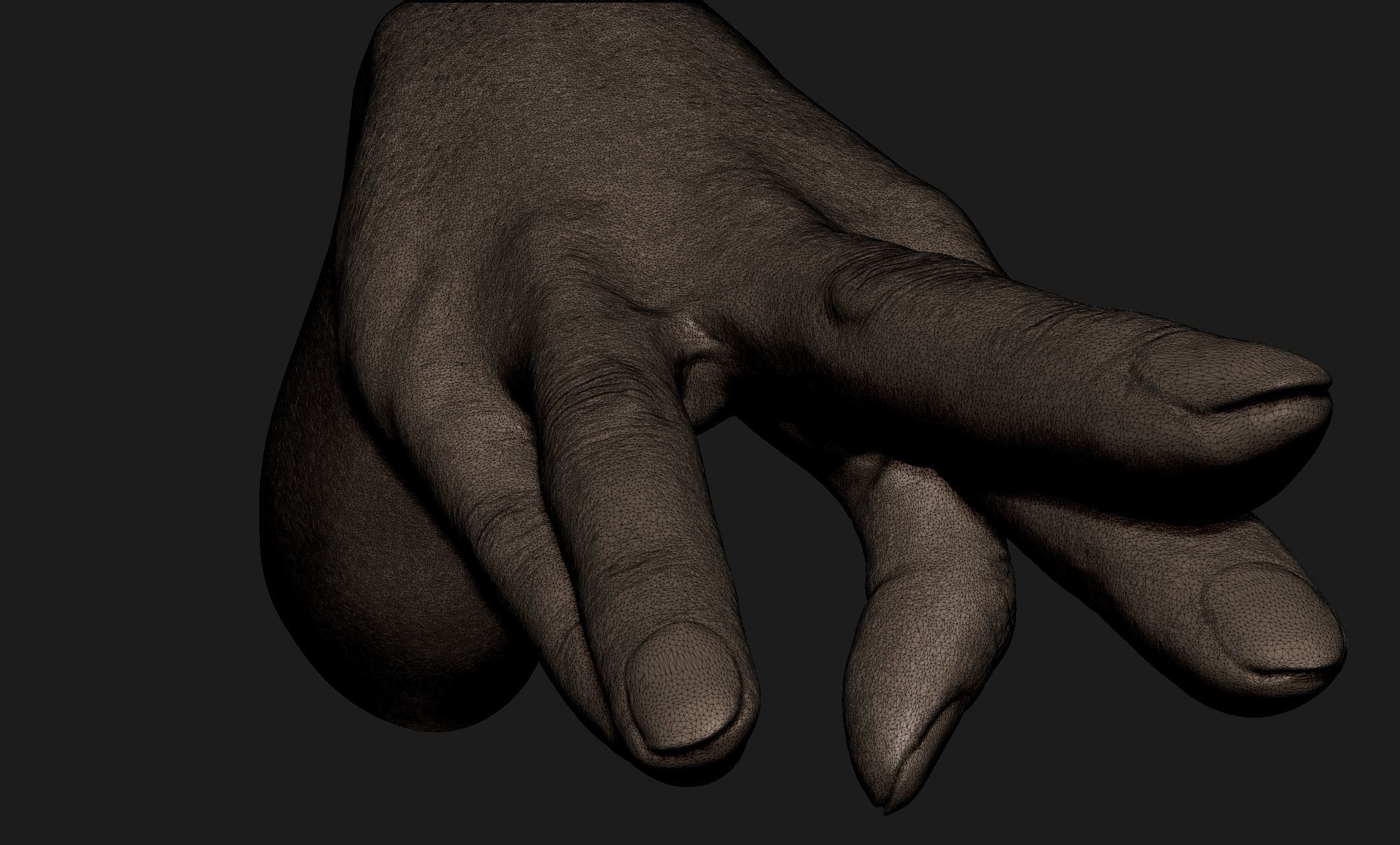 Realistic Female Hand Sculpt 3 3D model_8