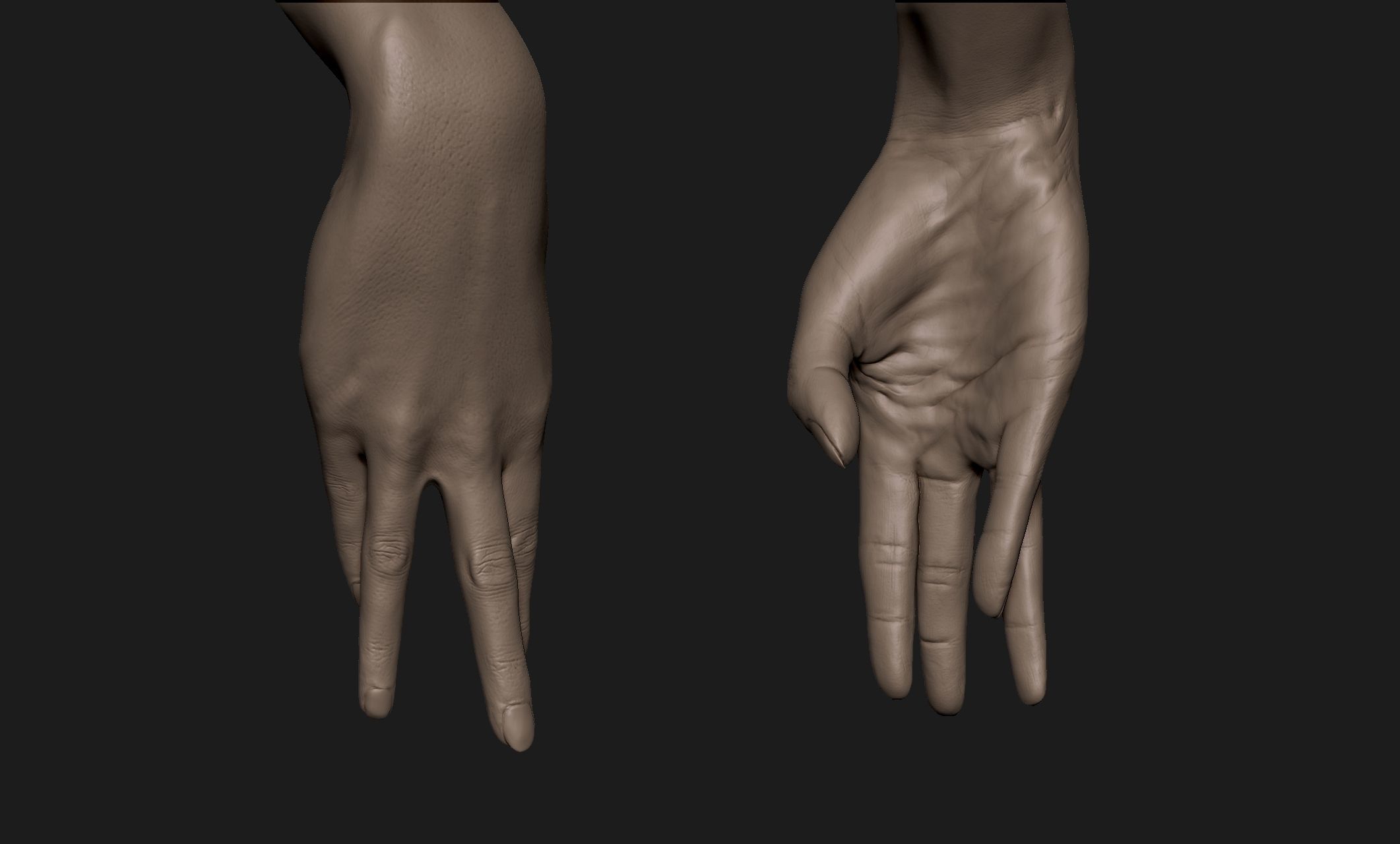 Realistic Female Hand Sculpt 3 3D model_1