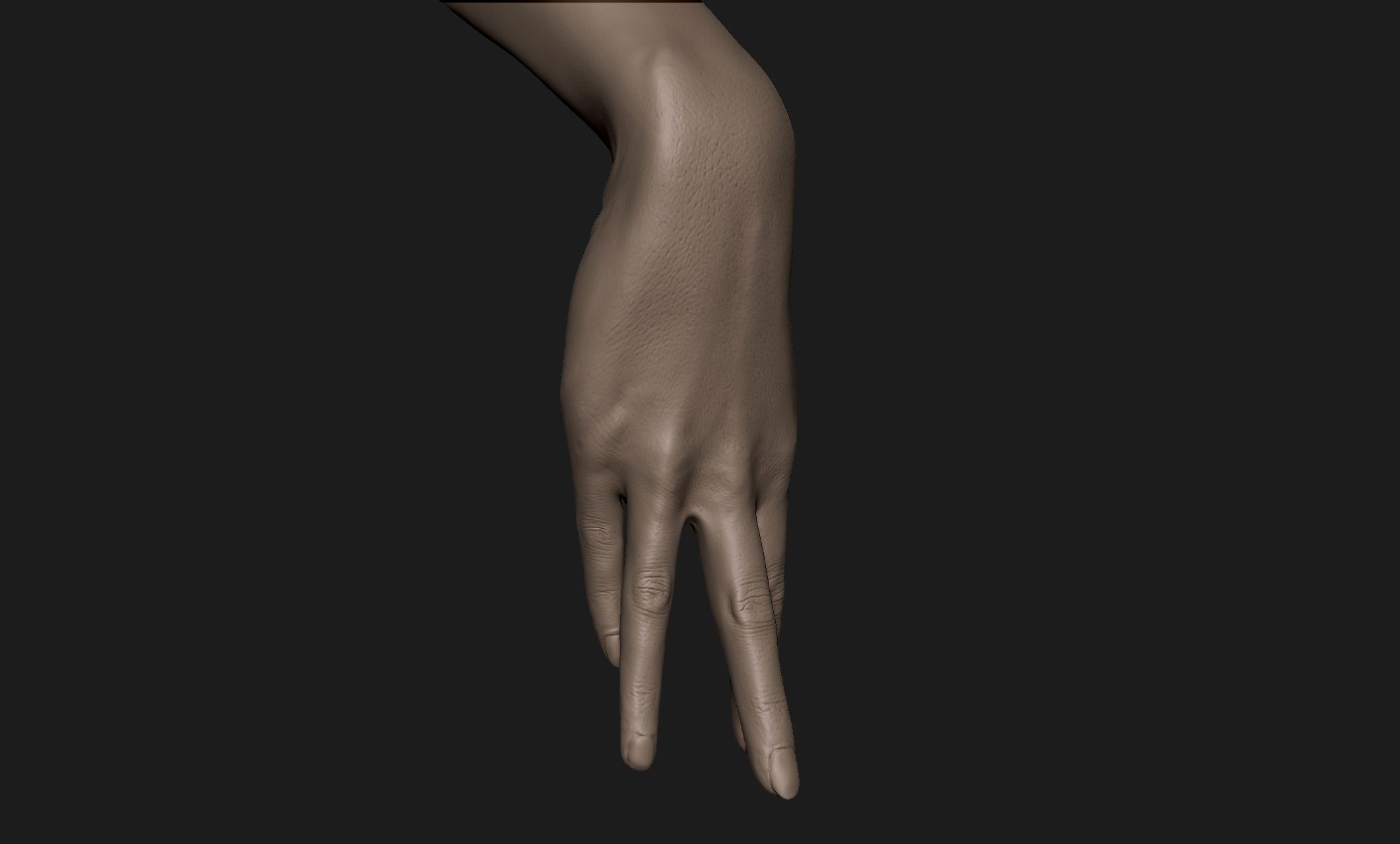 Realistic Female Hand Sculpt 3 3D model_3