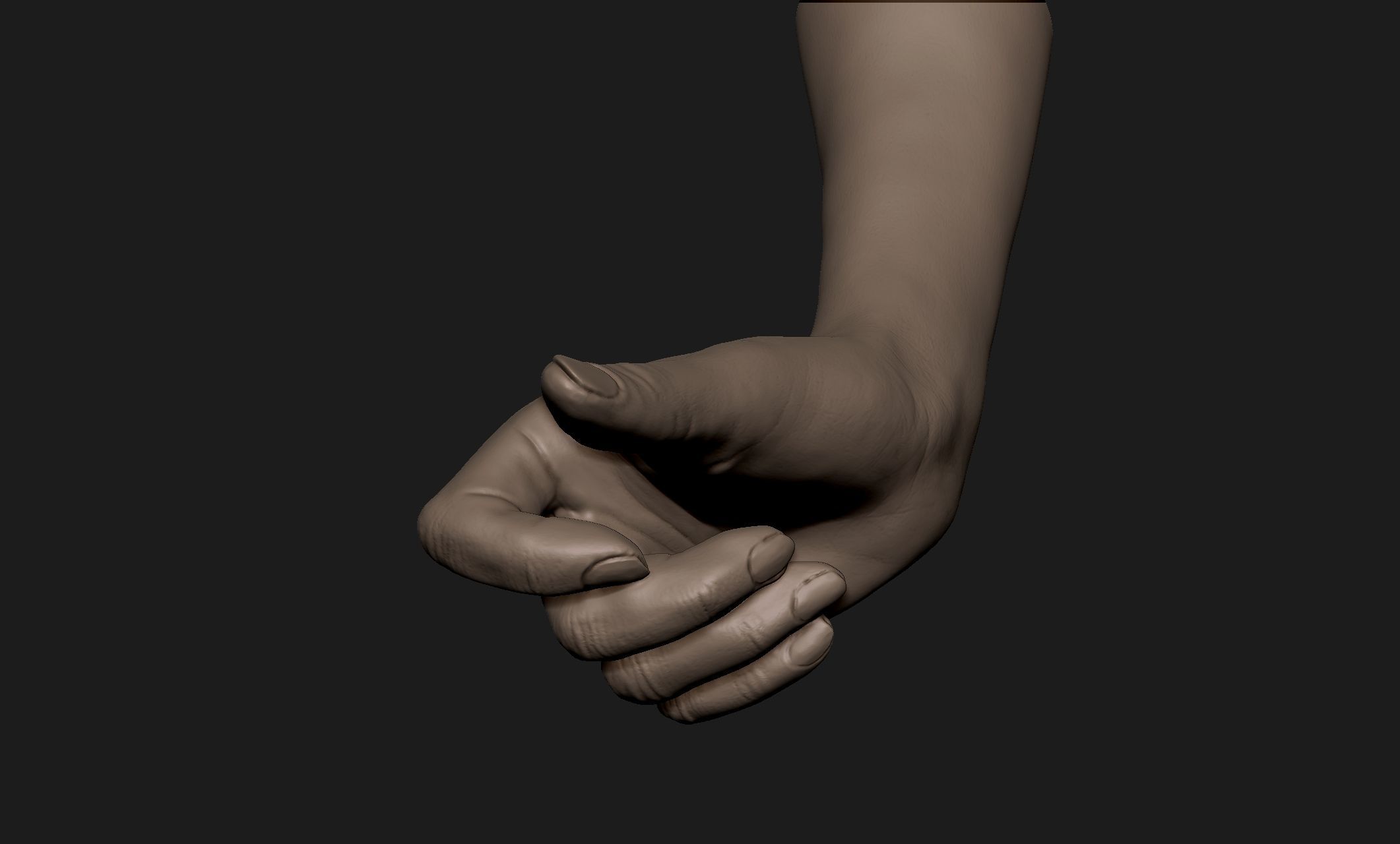 Realistic Female Hand Sculpt 4 3D model_2