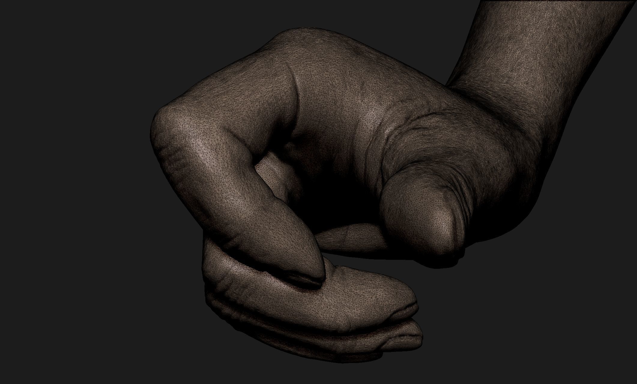 Realistic Female Hand Sculpt 4 3D model_7