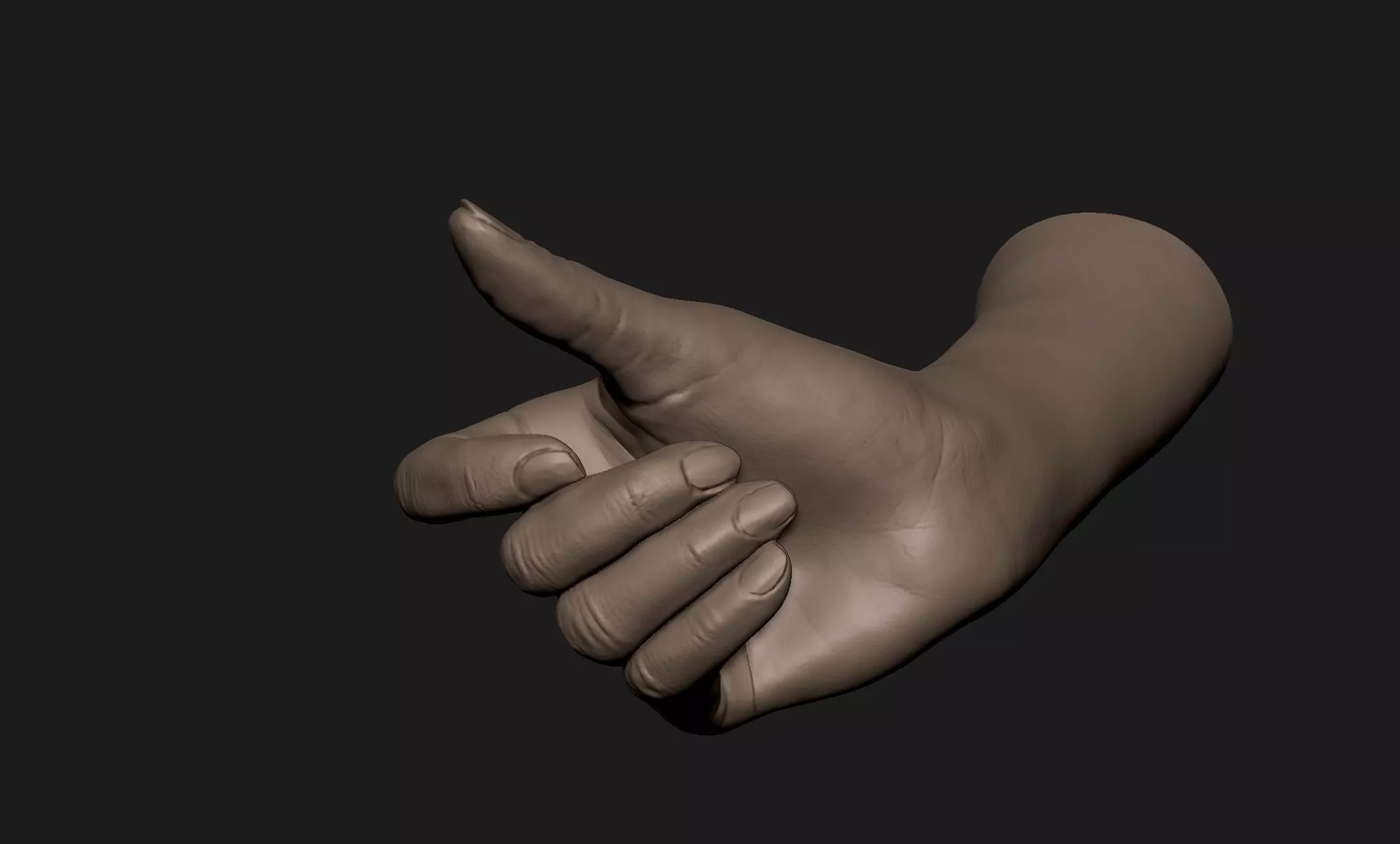 Realistic Female Hand Sculpt 4 3D model_0