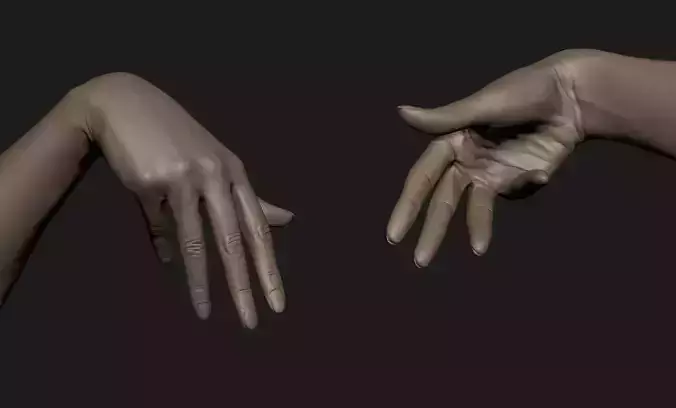 Realistic Female Hand Sculpt 5