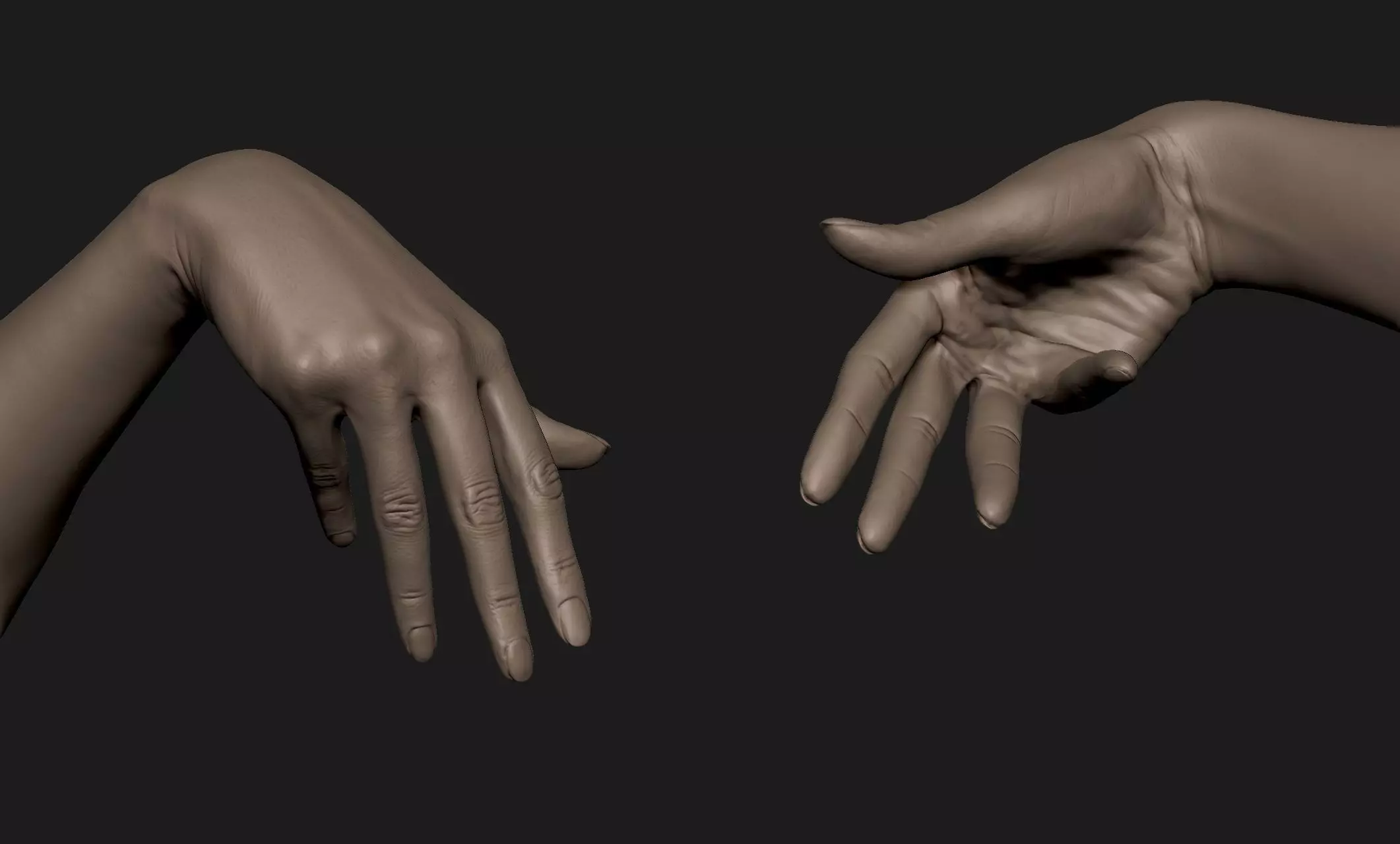 Realistic Female Hand Sculpt 5 3D model | CGTrader