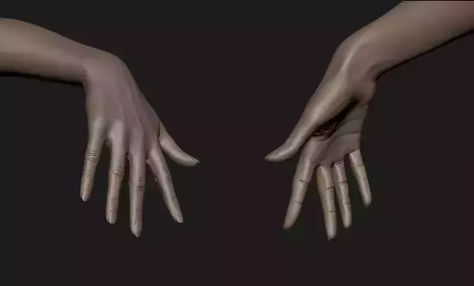 Realistic Female Hand Sculpt 6 3D model