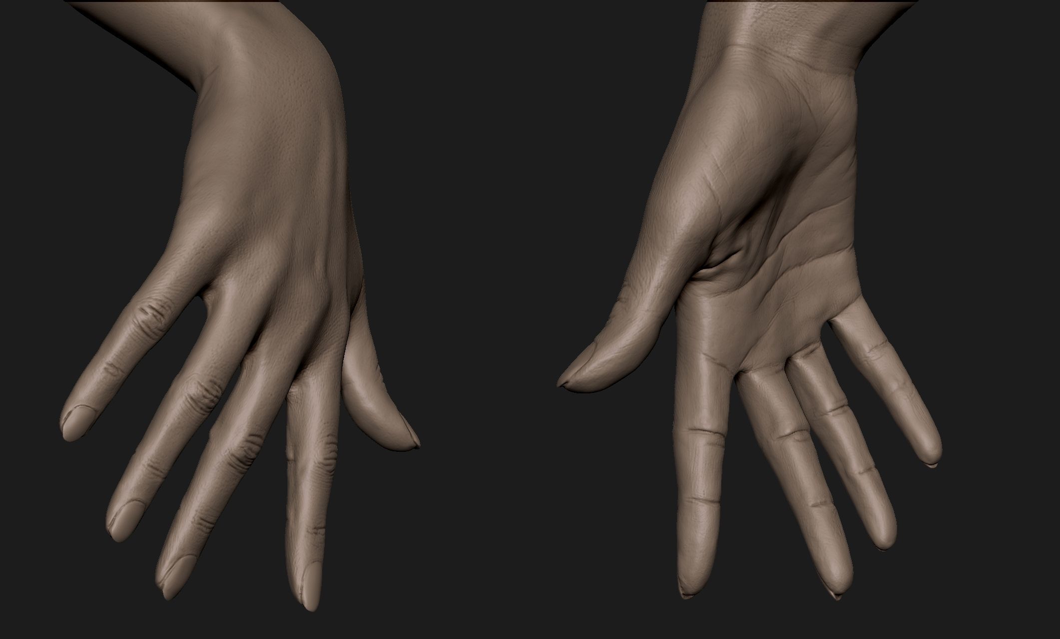 Realistic Female Hand Sculpt 6 3D model_1