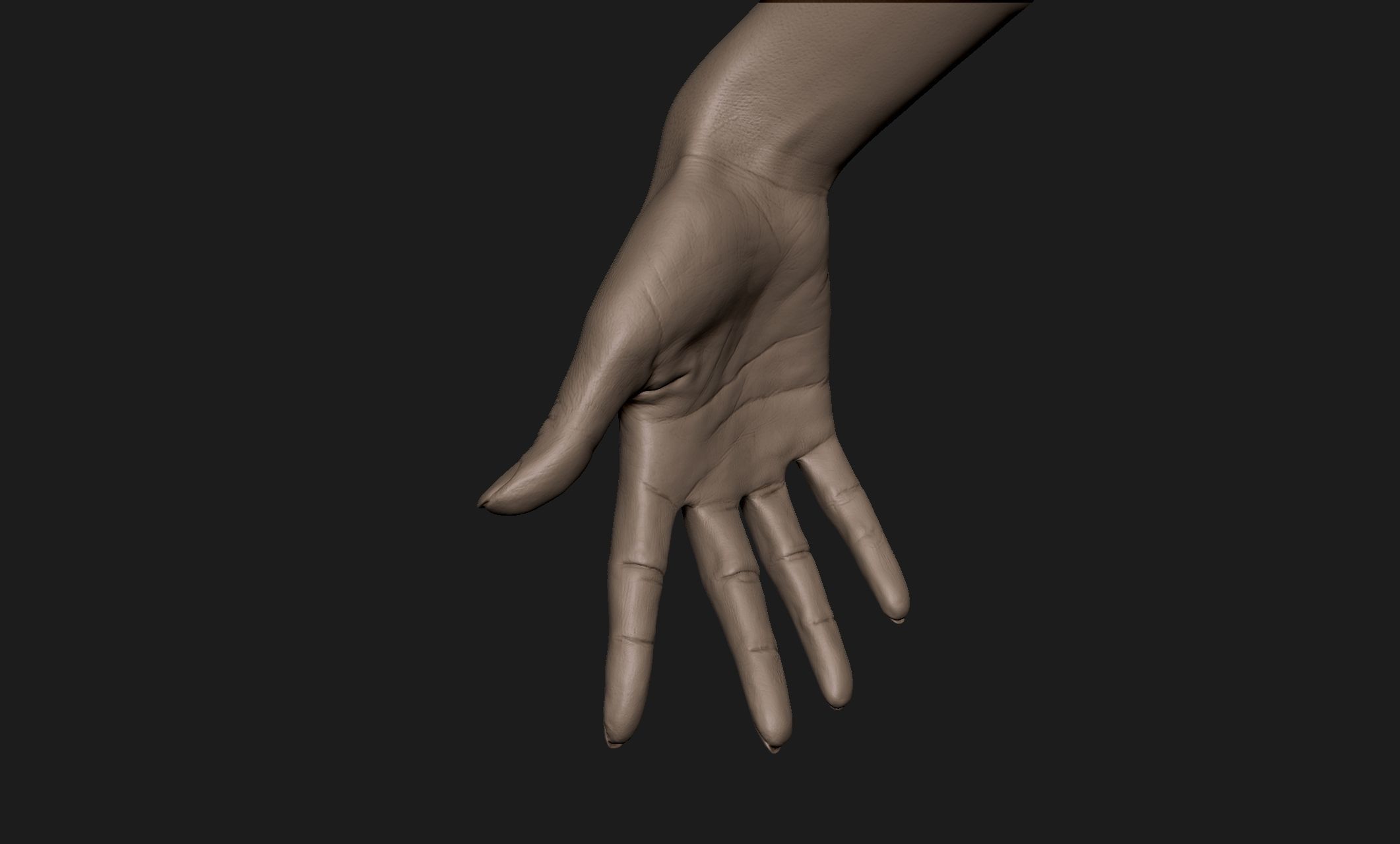 Realistic Female Hand Sculpt 6 3D model_4