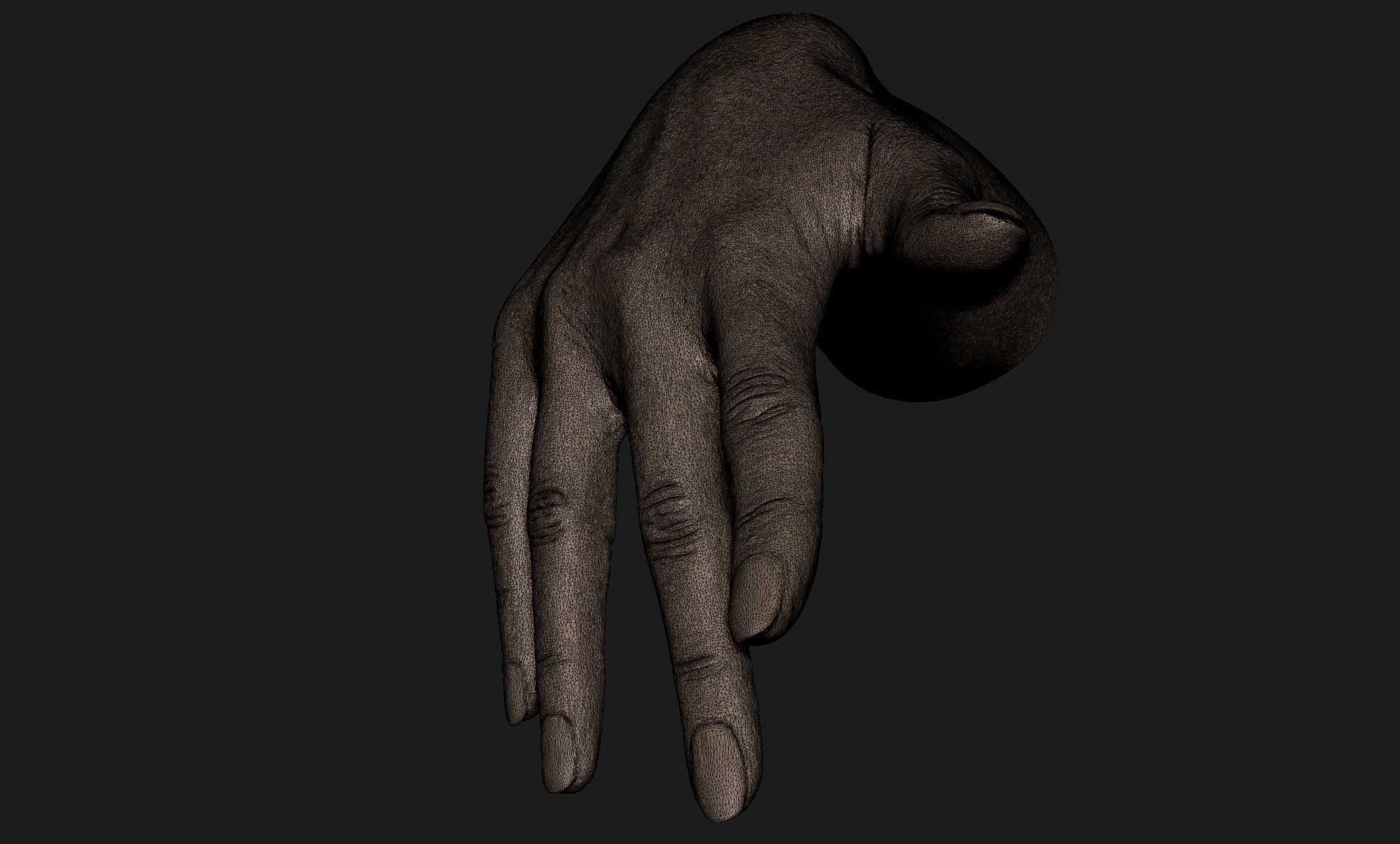 Realistic Female Hand Sculpt 6 3D model_7