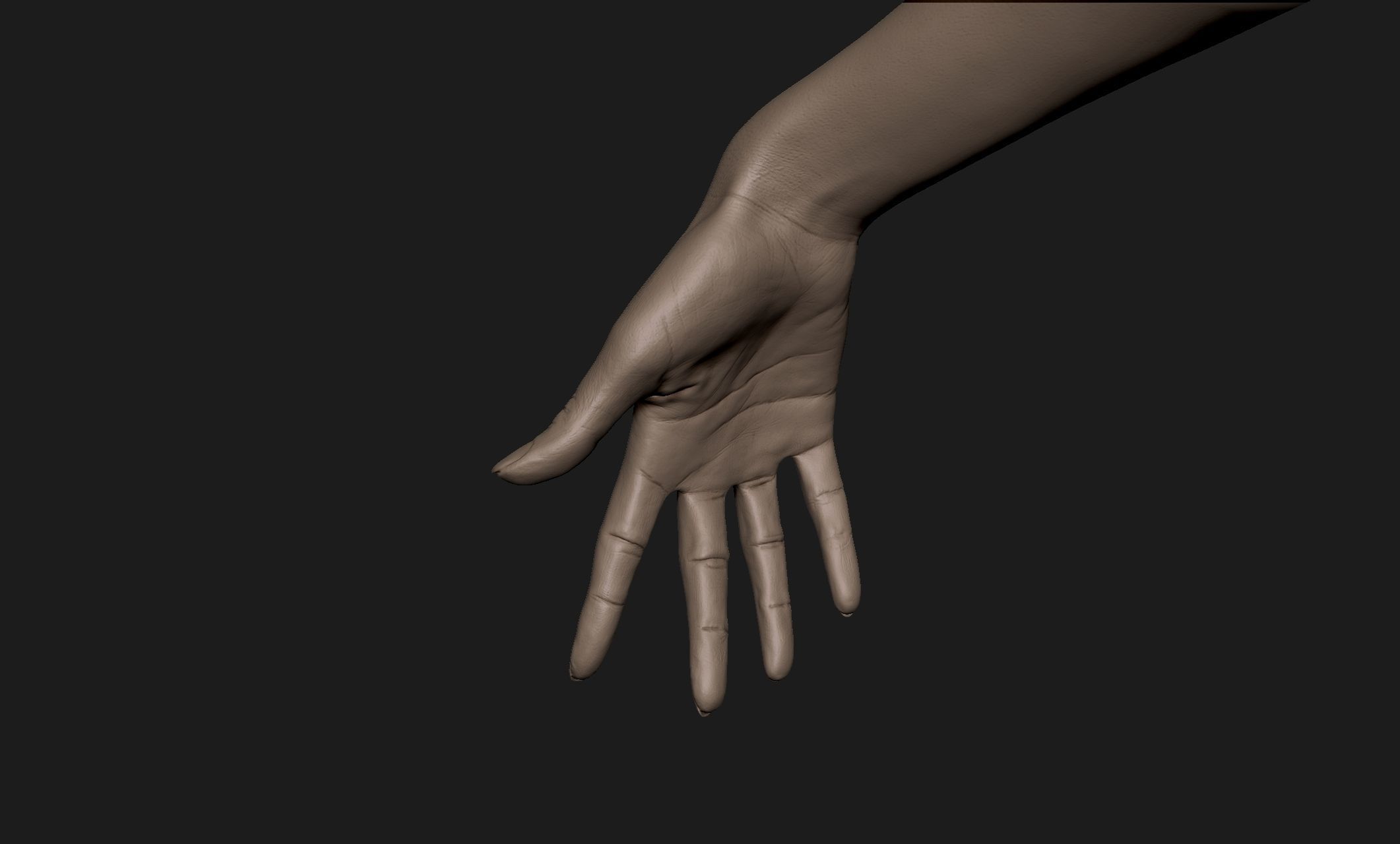 Realistic Female Hand Sculpt 6 3D model_2