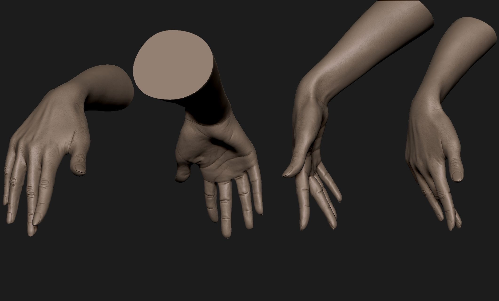 Realistic Female Hand Sculpt 6 3D model_6