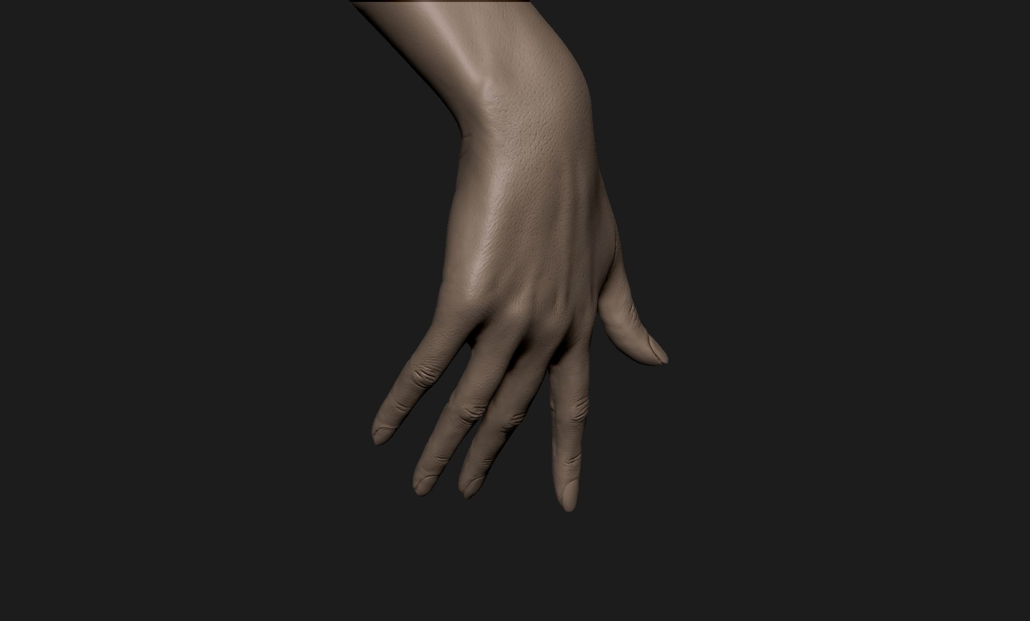 Realistic Female Hand Sculpt 6 3D model_3