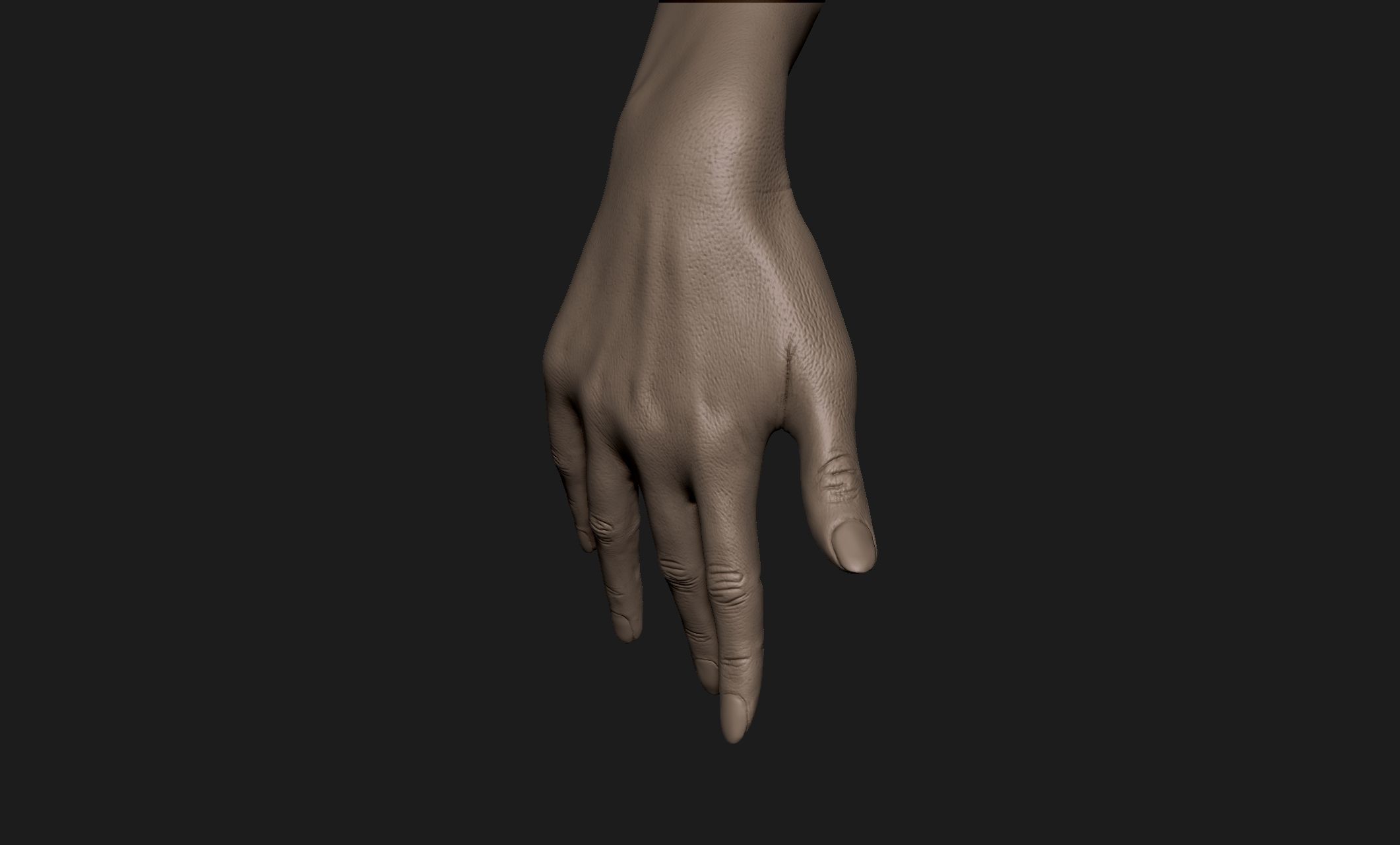 Realistic Female Hand Sculpt 6 3D model_5