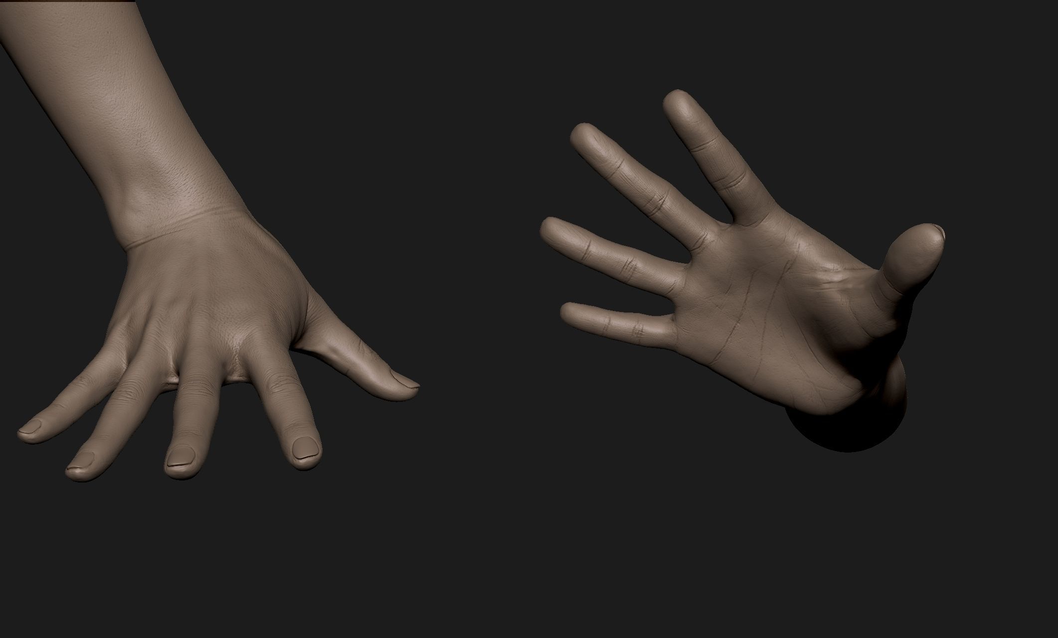 Realistic Female Hand Sculpt 7 3D model_4
