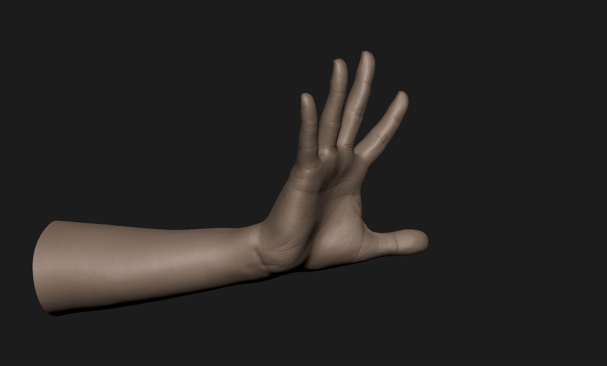 Realistic Female Hand Sculpt 7 3D model_3