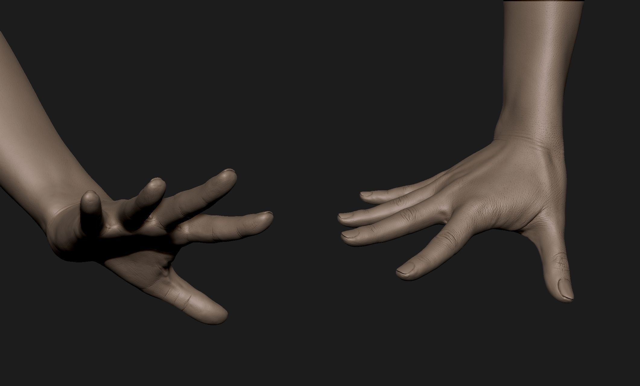 Realistic Female Hand Sculpt 7 3D model_1