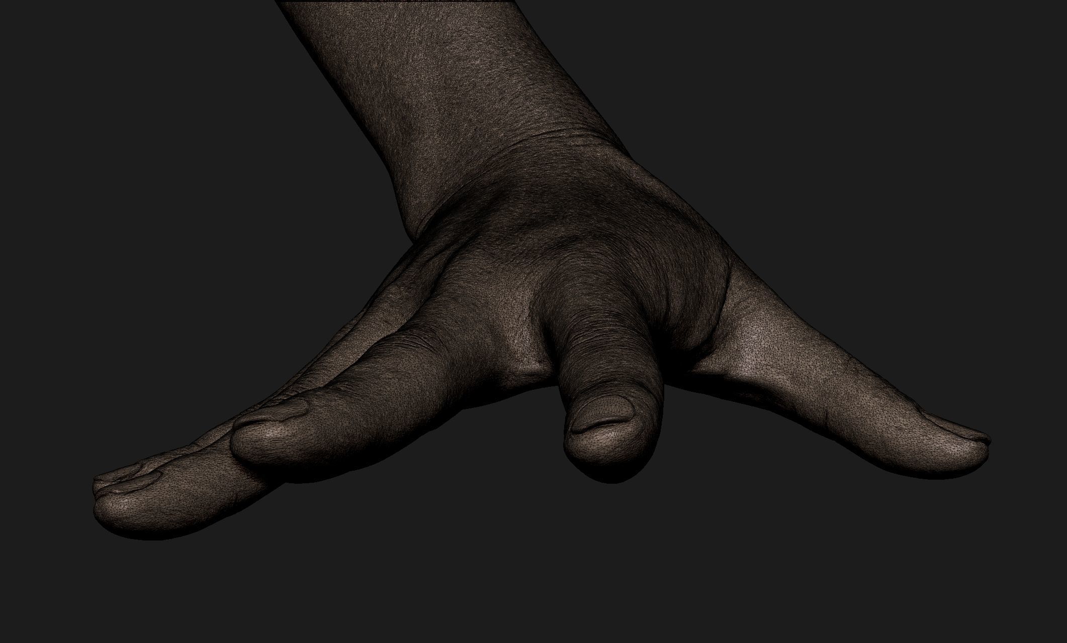 Realistic Female Hand Sculpt 7 3D model_6