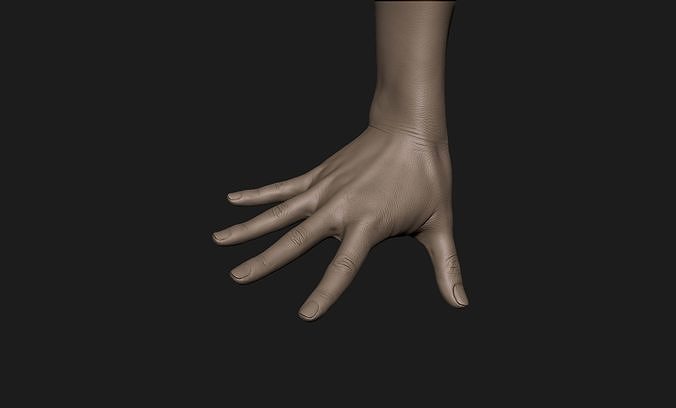 Realistic Female Hand Sculpt 7 3D model