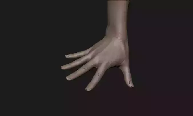Realistic Female Hand Sculpt 7 3D model